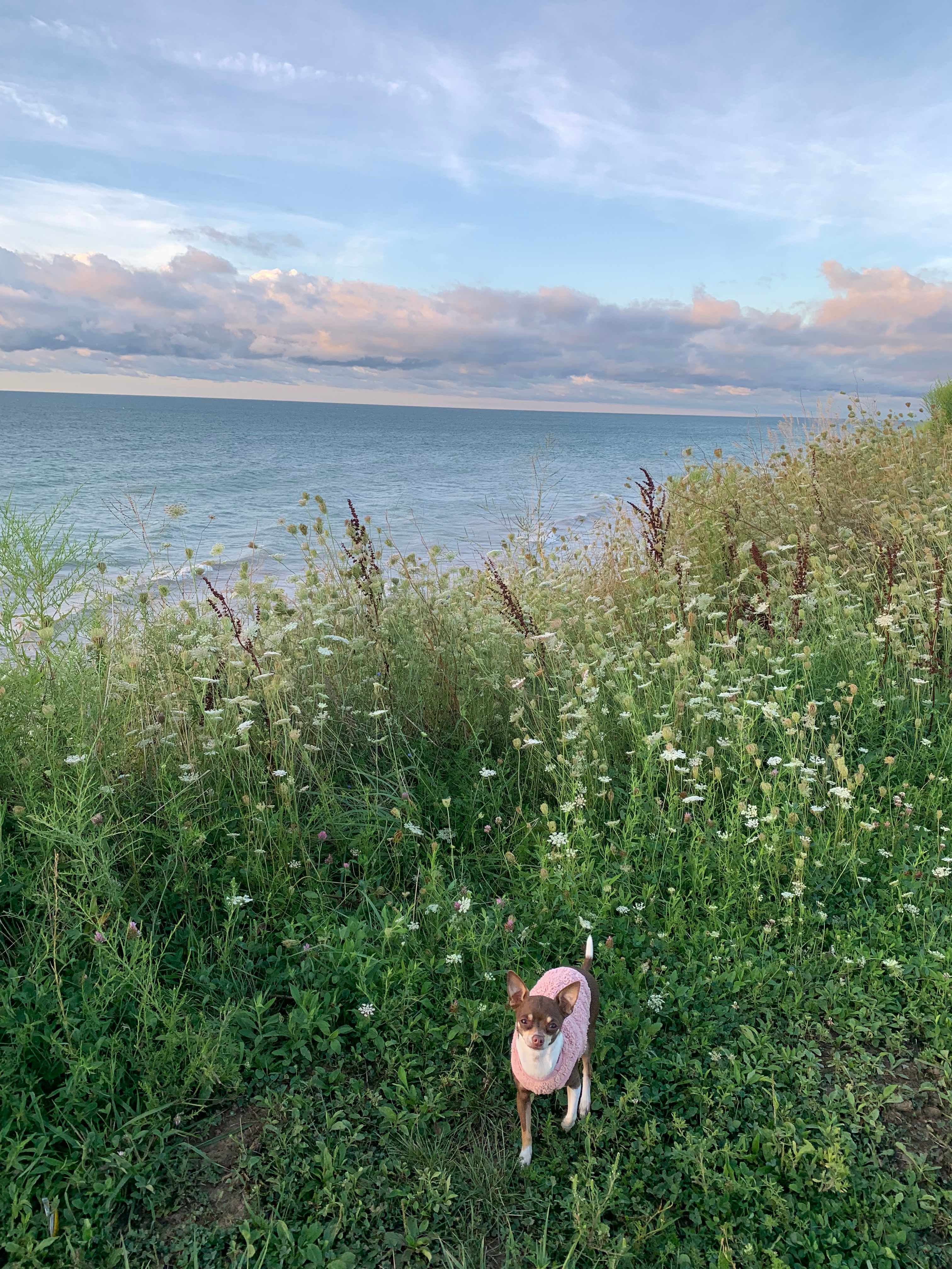 Lake Erie Private Beach Camping