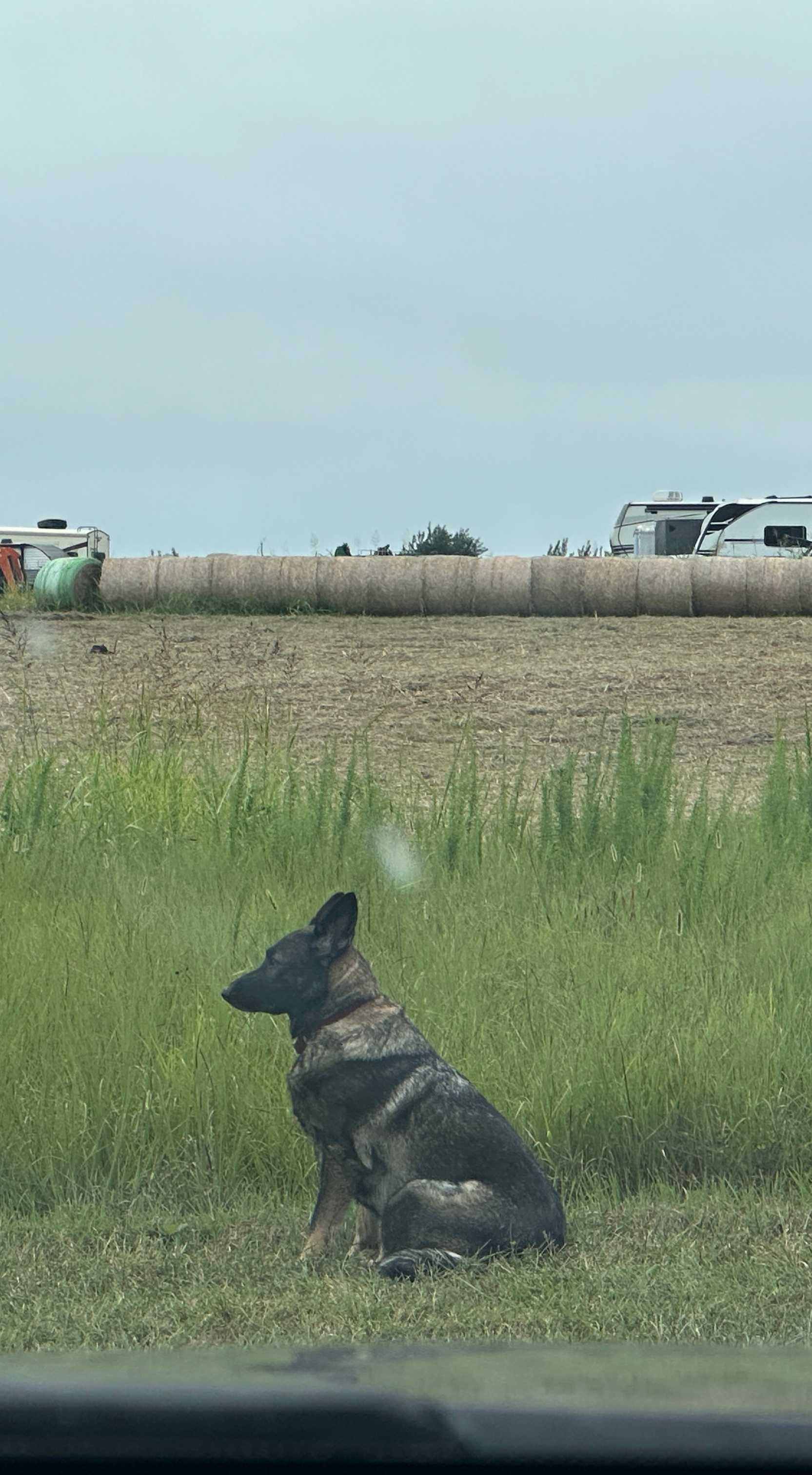 Burton Family Farm a place to relax