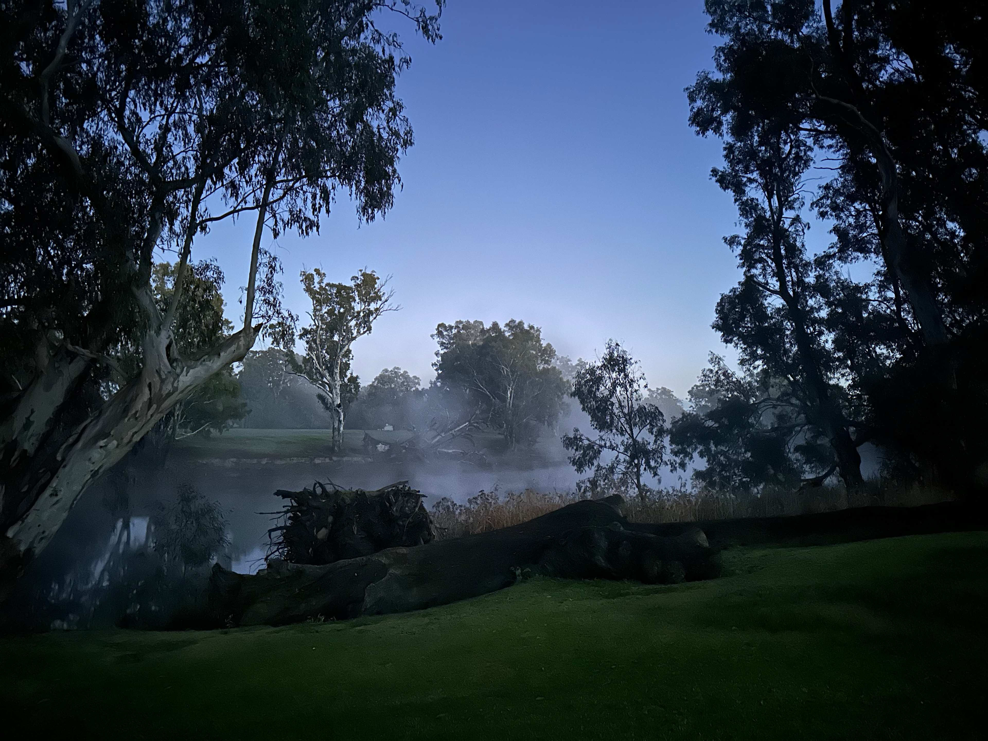 Gorgeous winter morning!