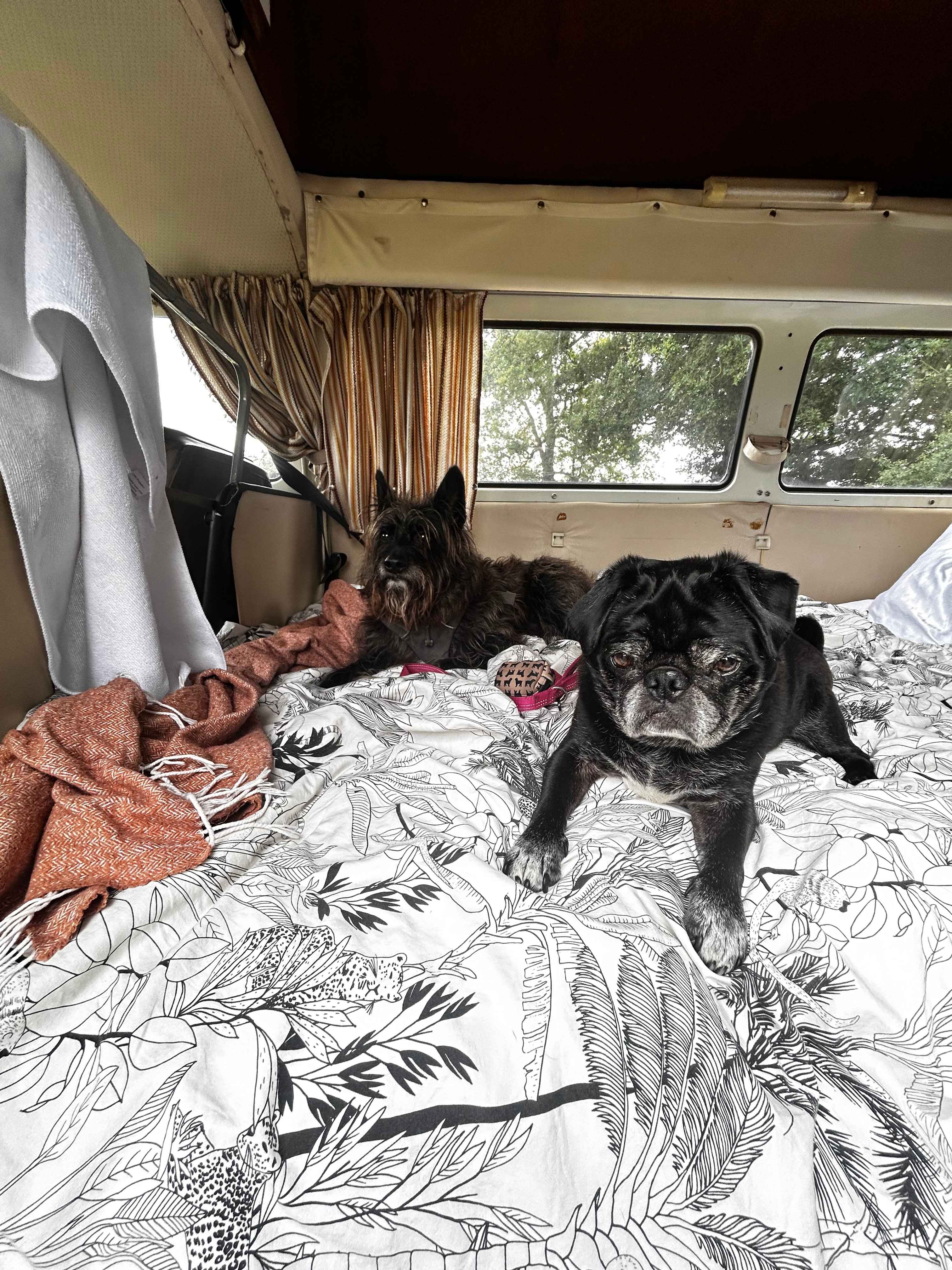 Far and Away Camping