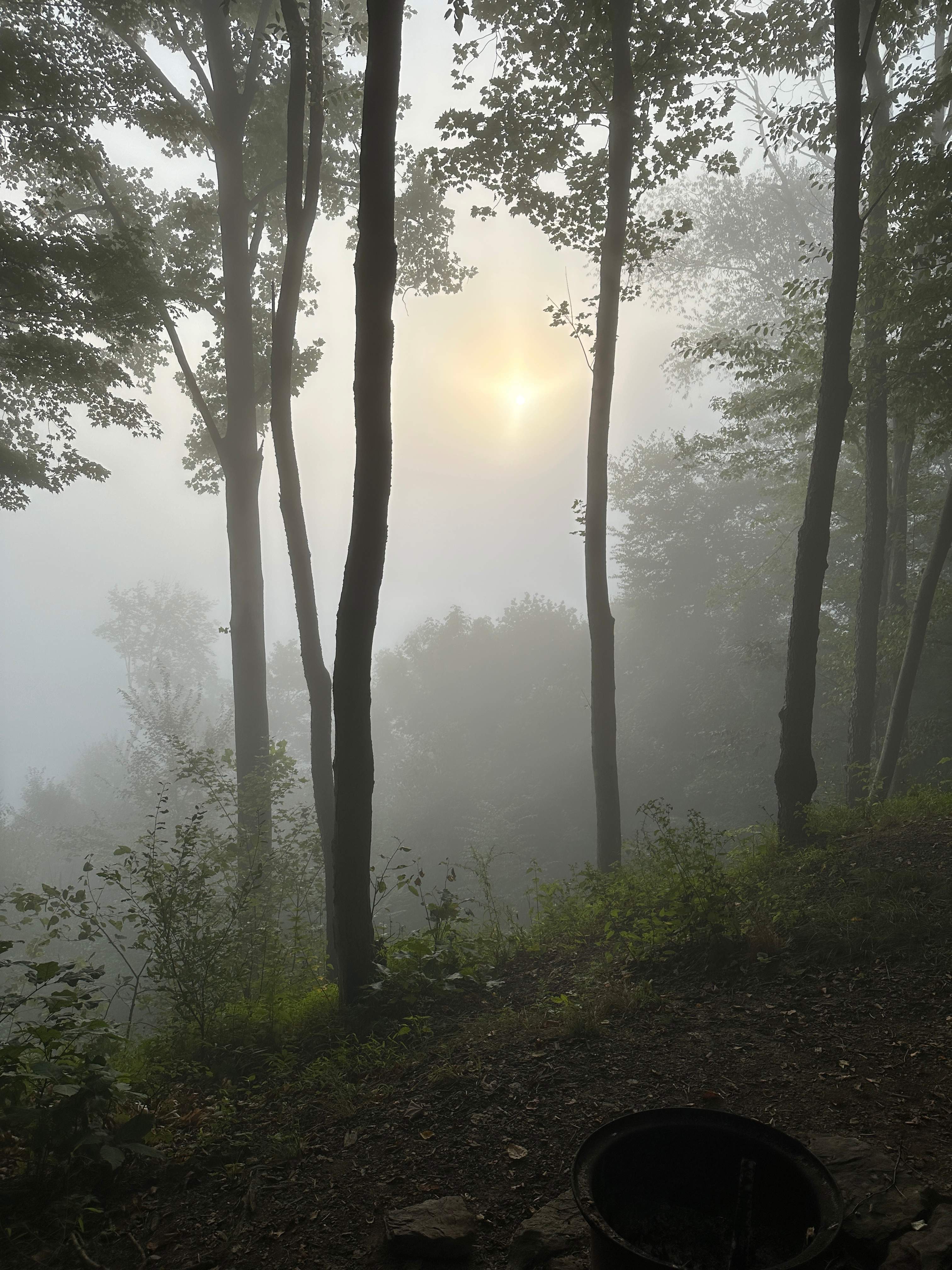 River Hills Above the Allegheny