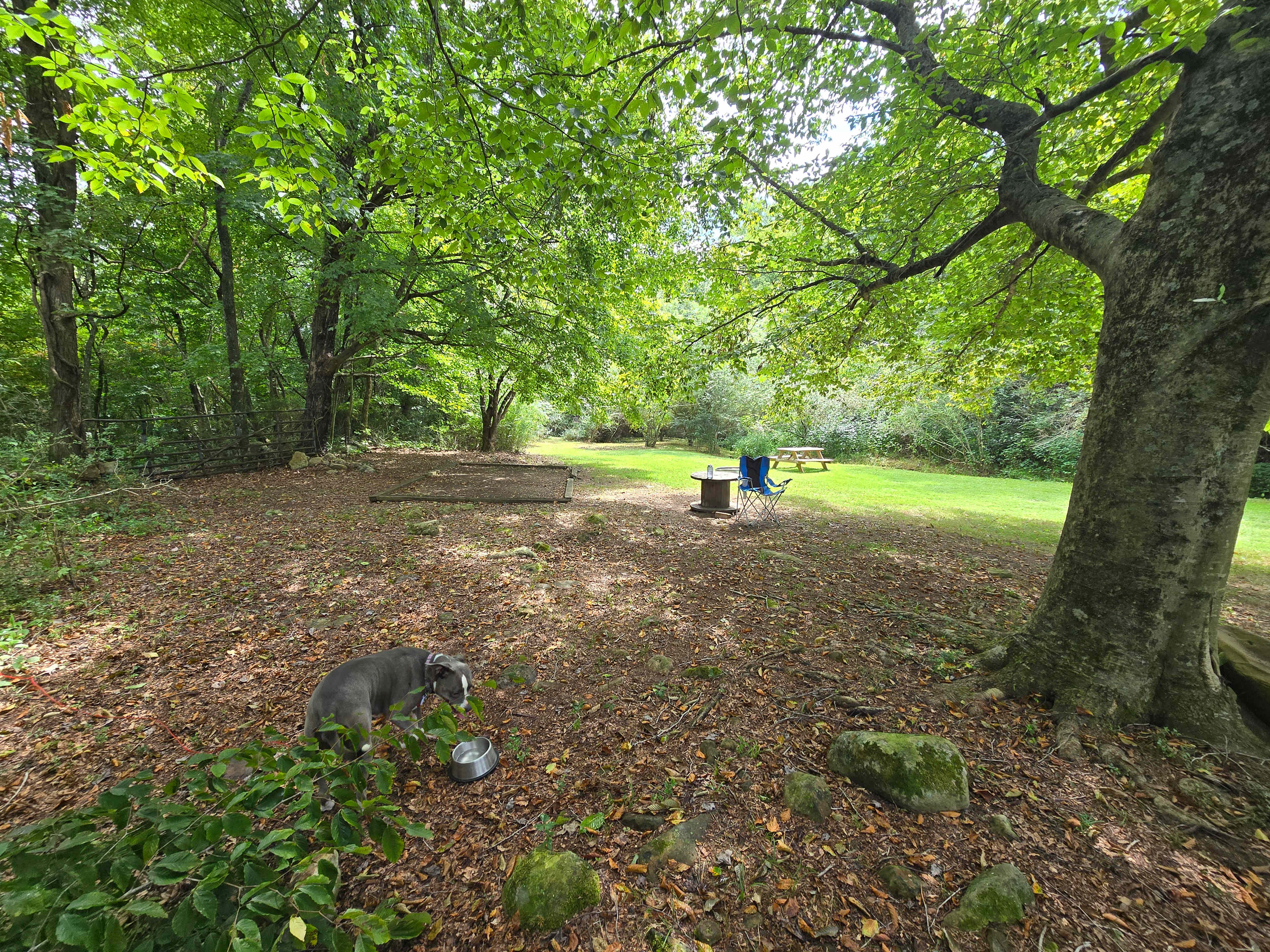 Rock Bottom Horse Camp