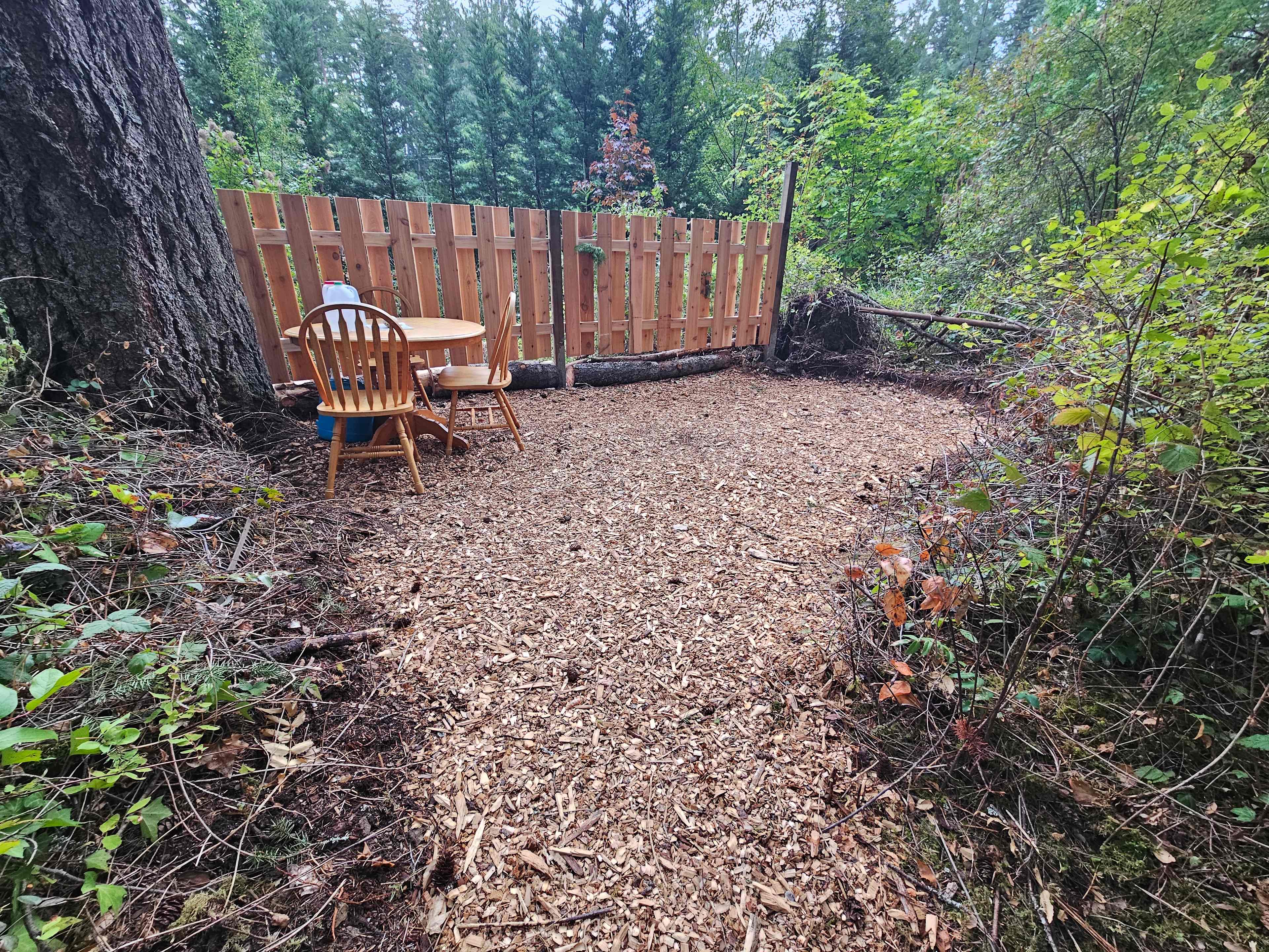 Cottontail site with new fence