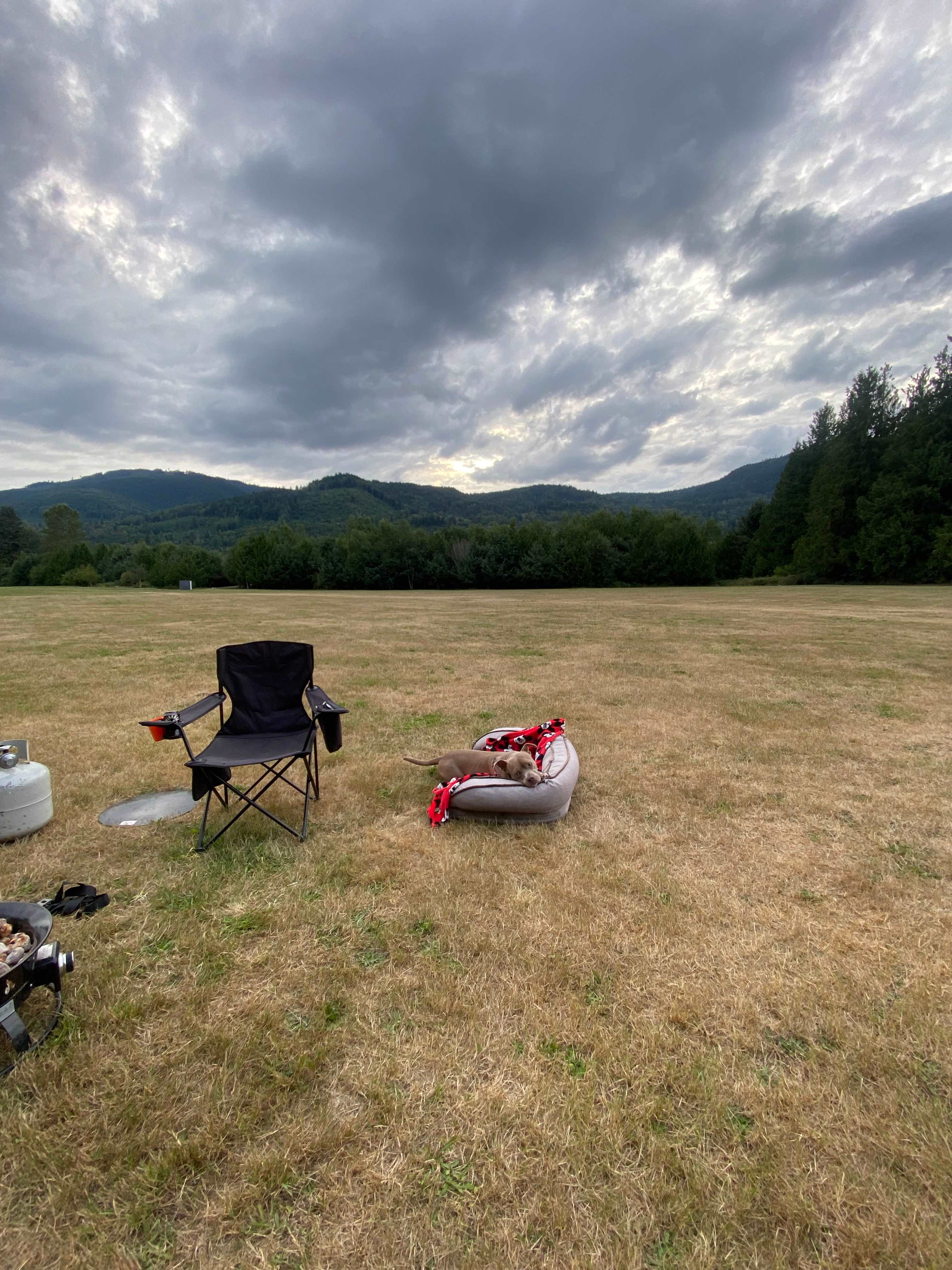 Oliver basking in his happy place! 