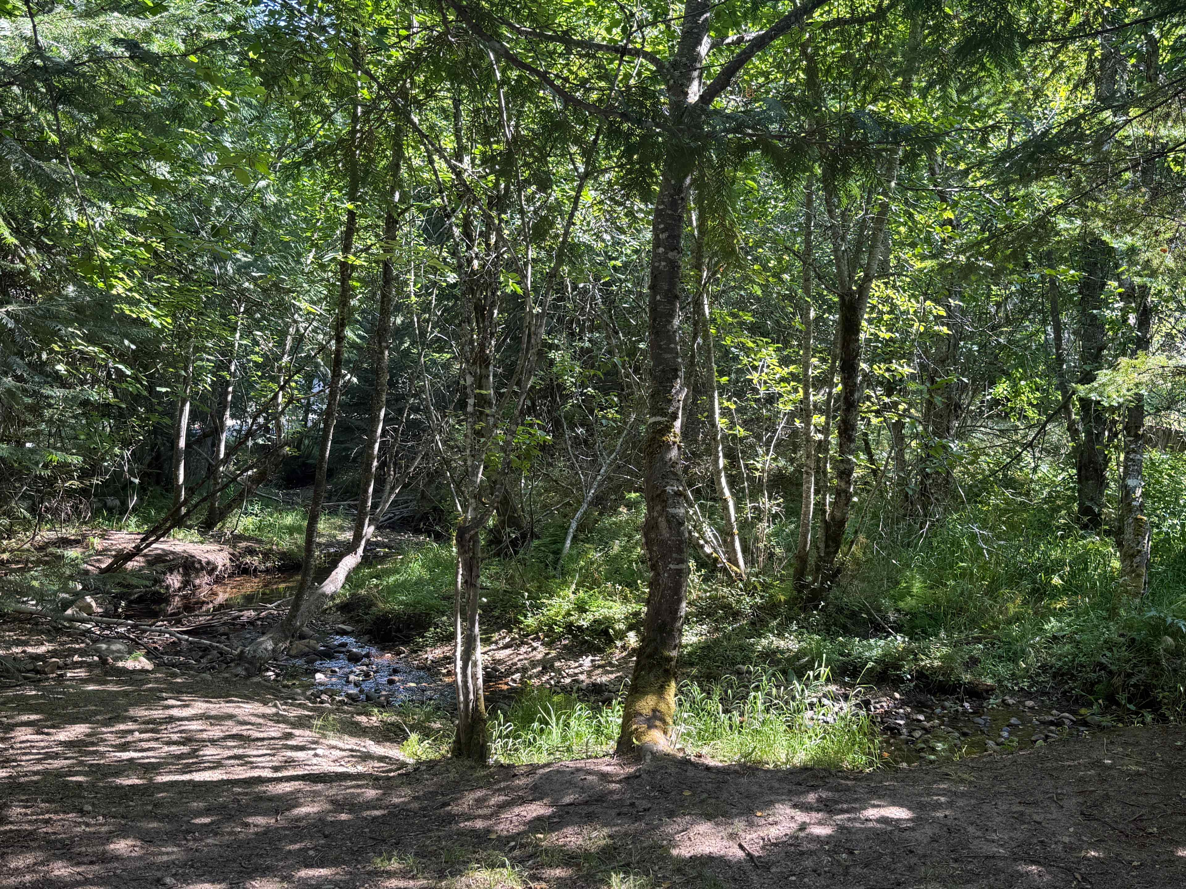 Turnipseed Creek Campsites