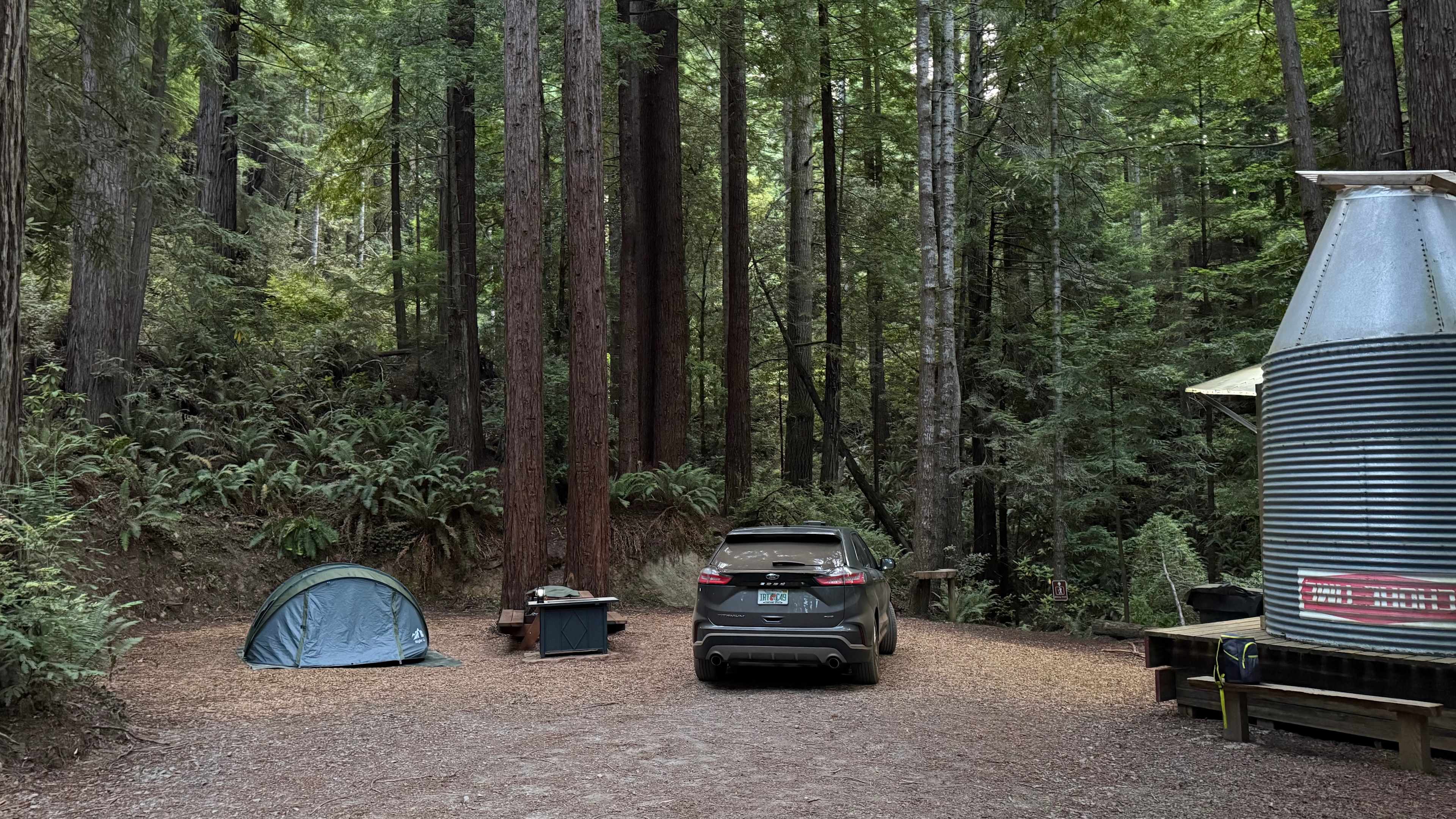 Whispering Redwood Creek