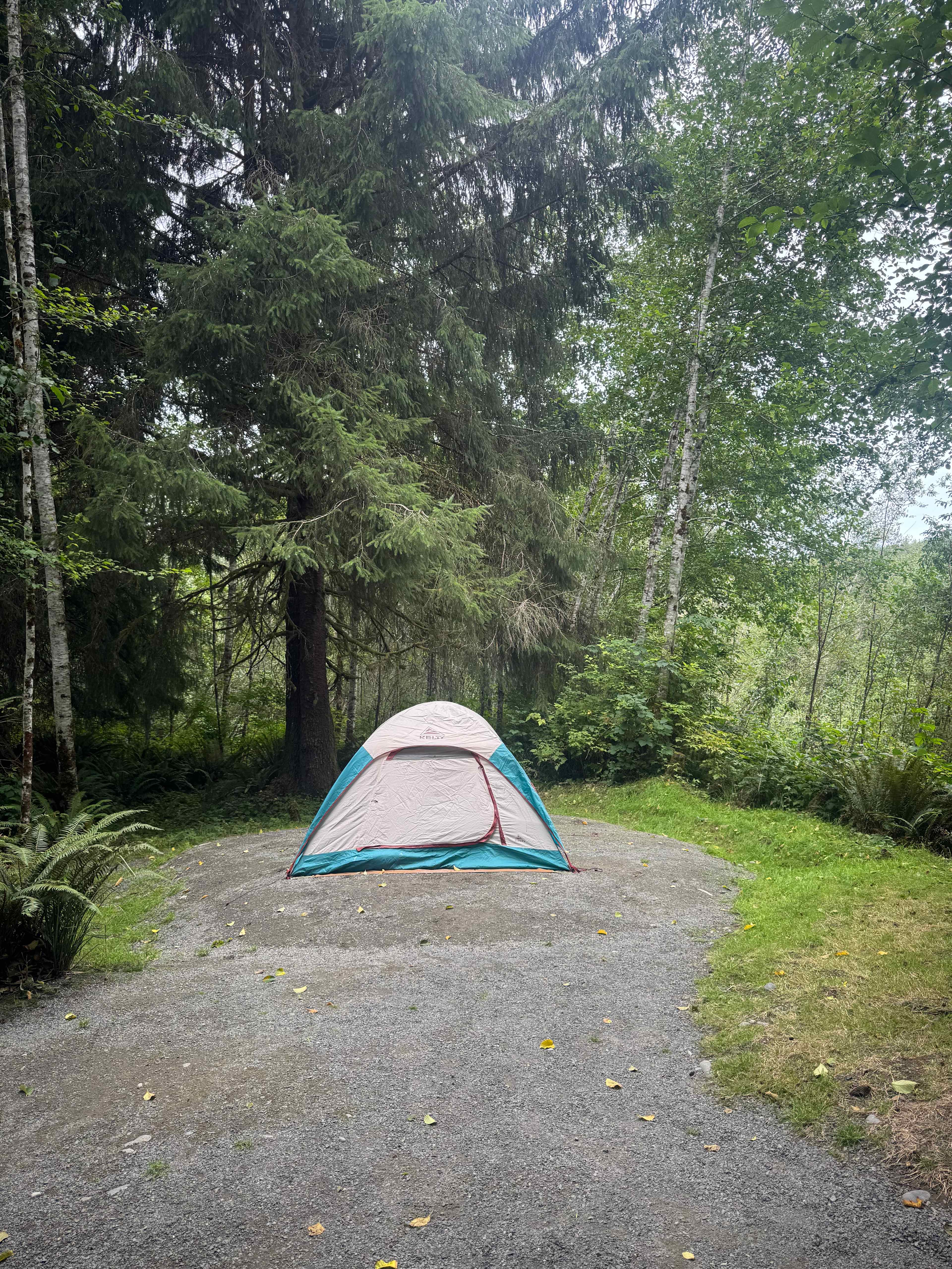 Hoh River Campsites