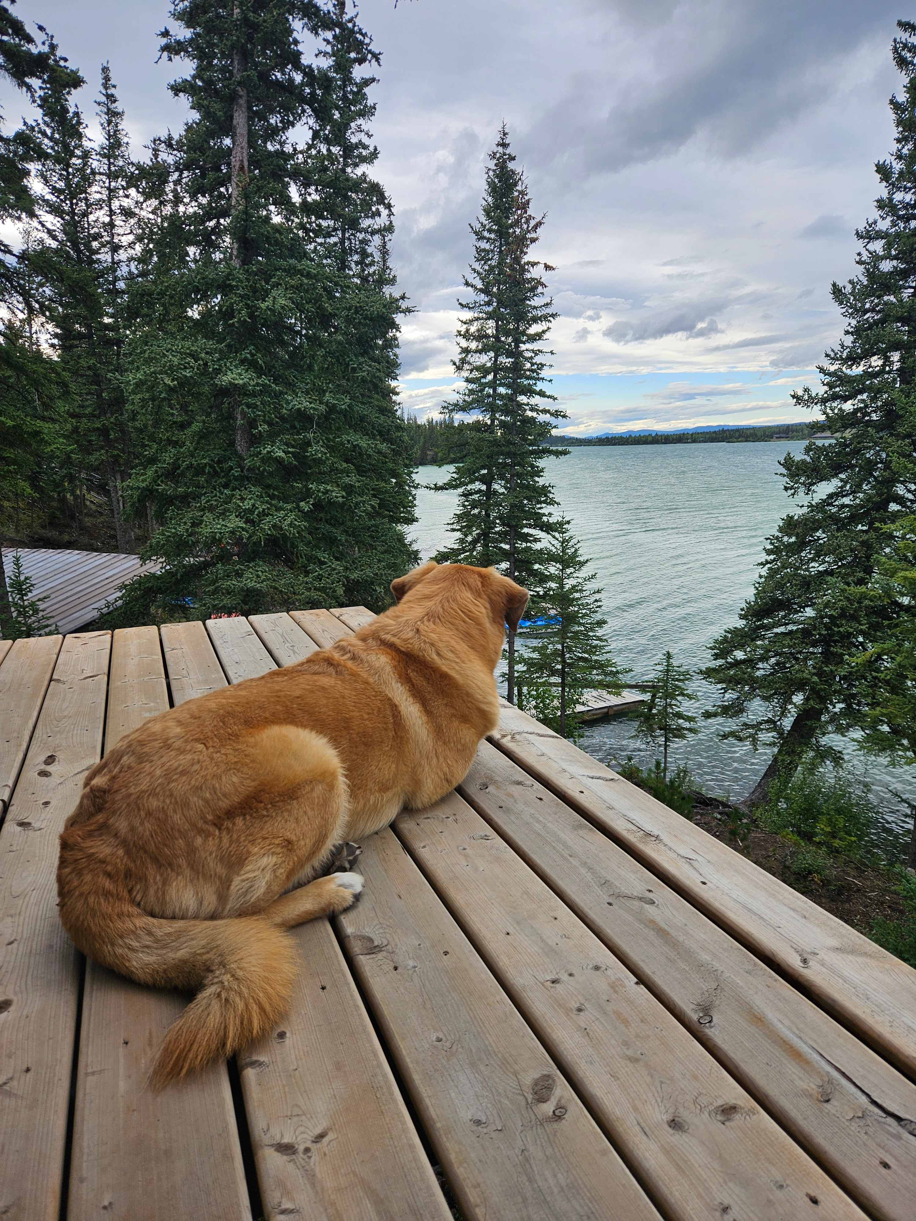 Sunset Knoll Sites on Big Bar Lake