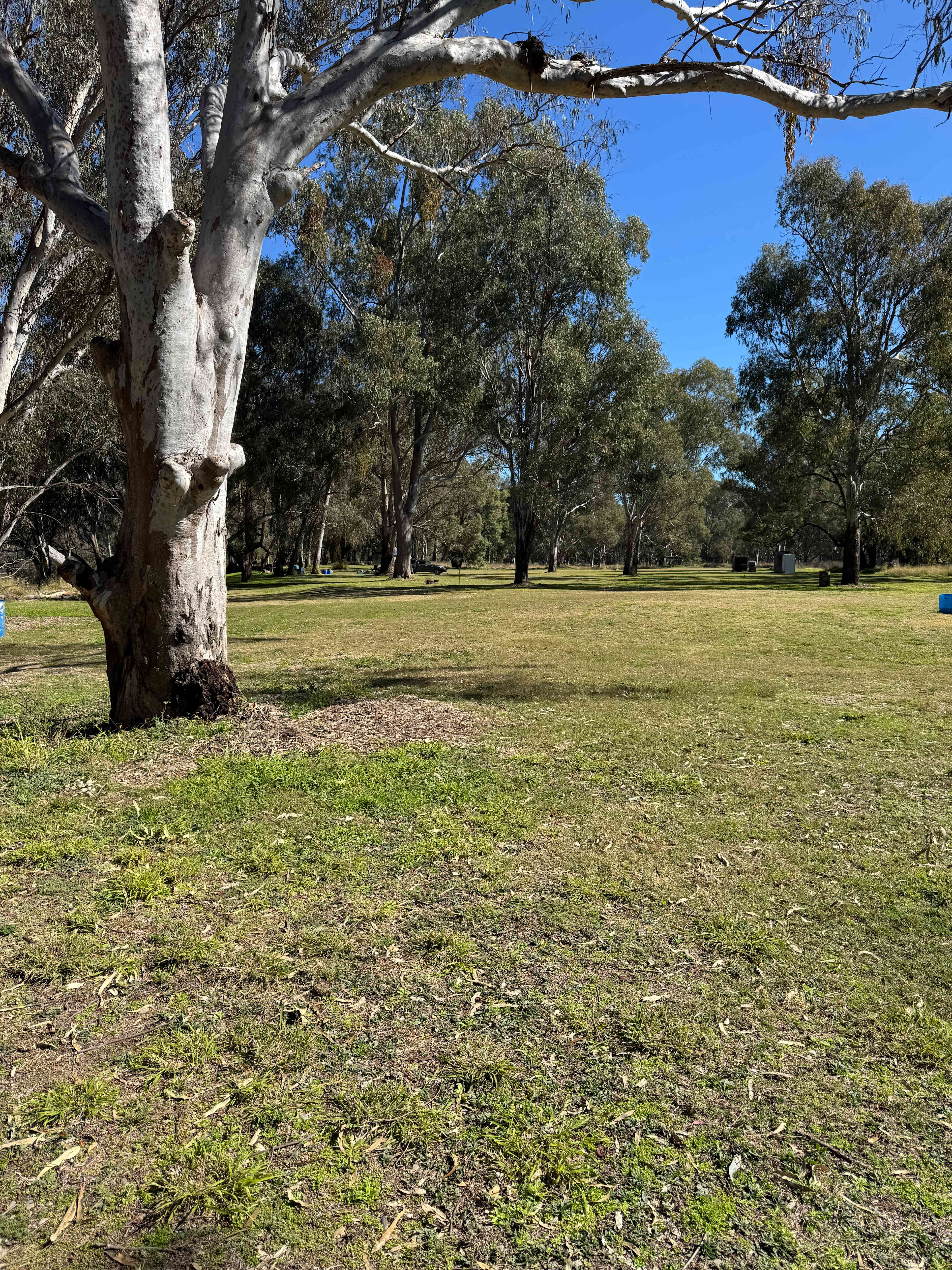 Bushland Hideaway on the River