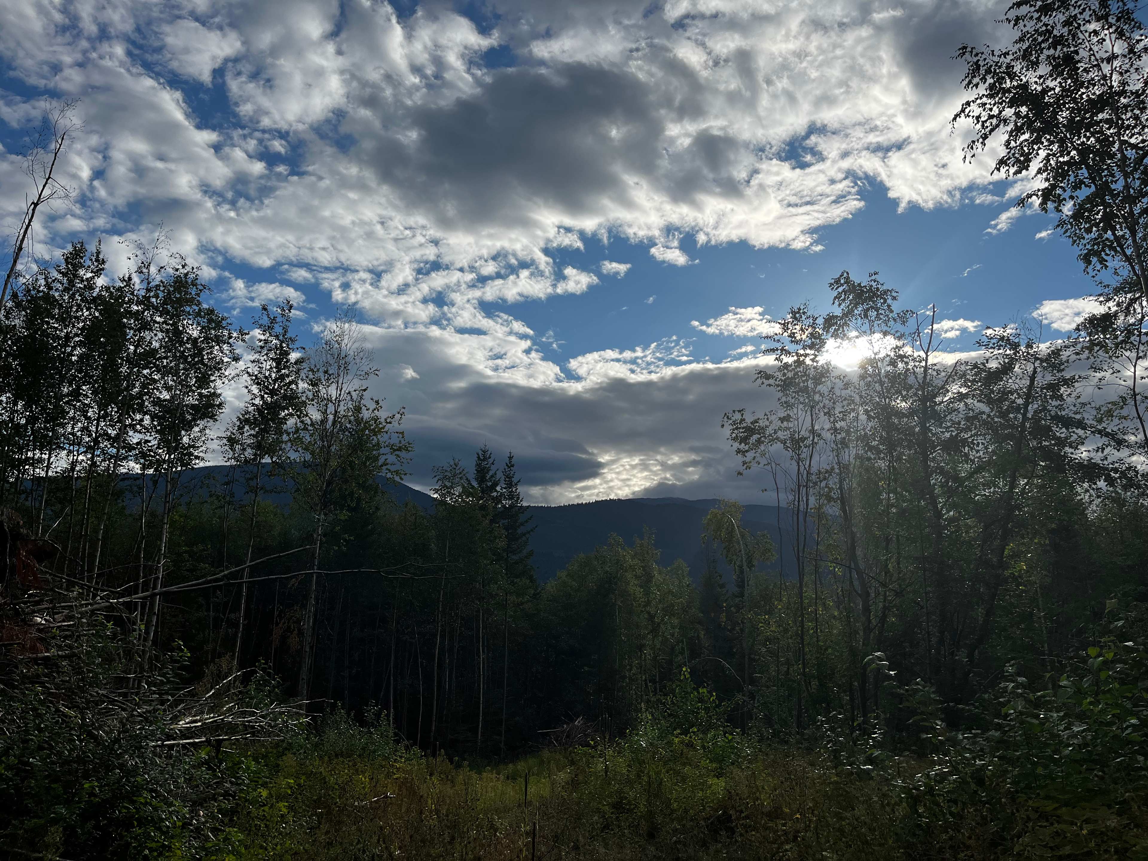 Washtock Family Campground