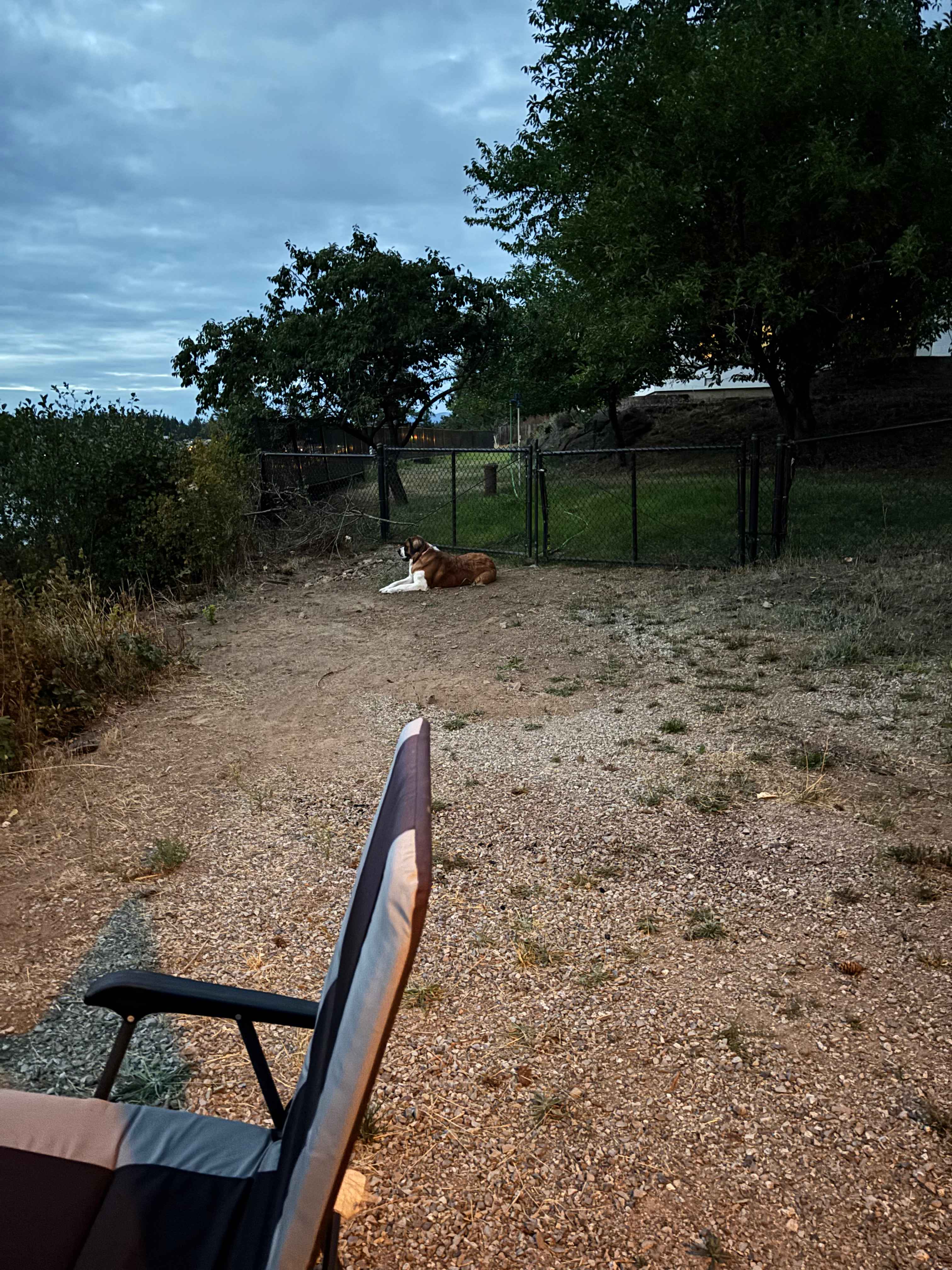 My pup hoping his will come out and play. 