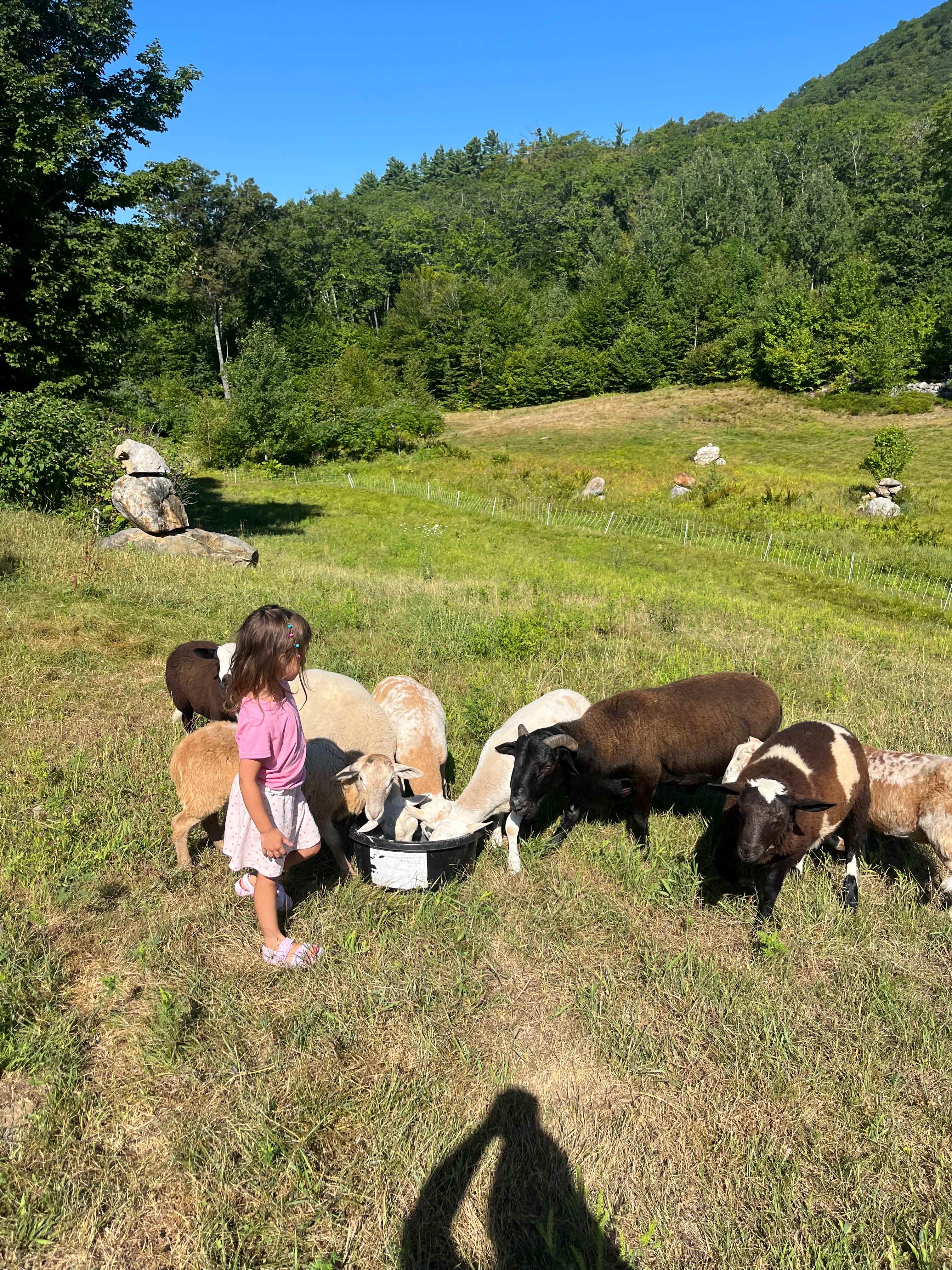 Glamping on the farm