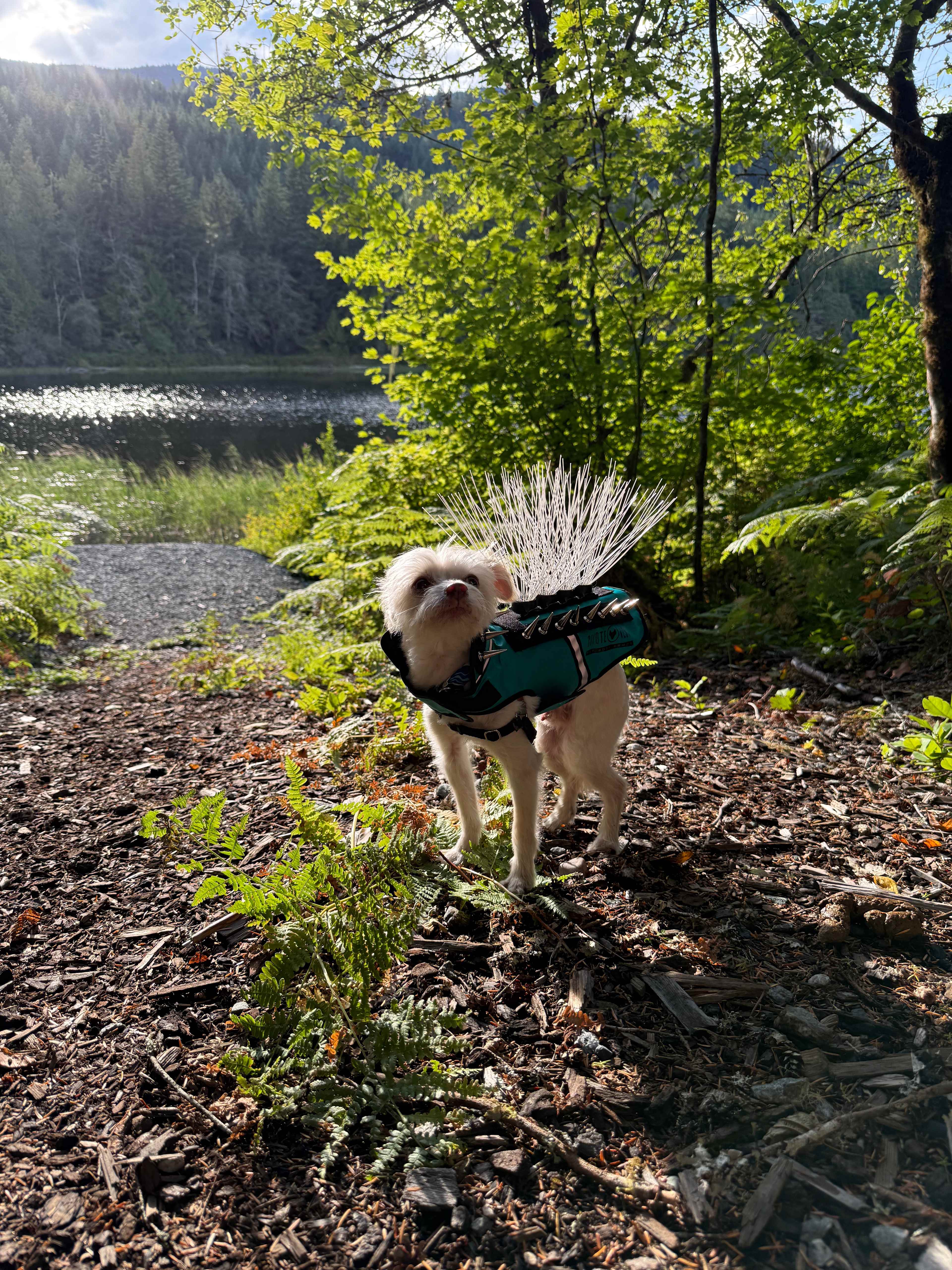 Spearhead Lake Campground