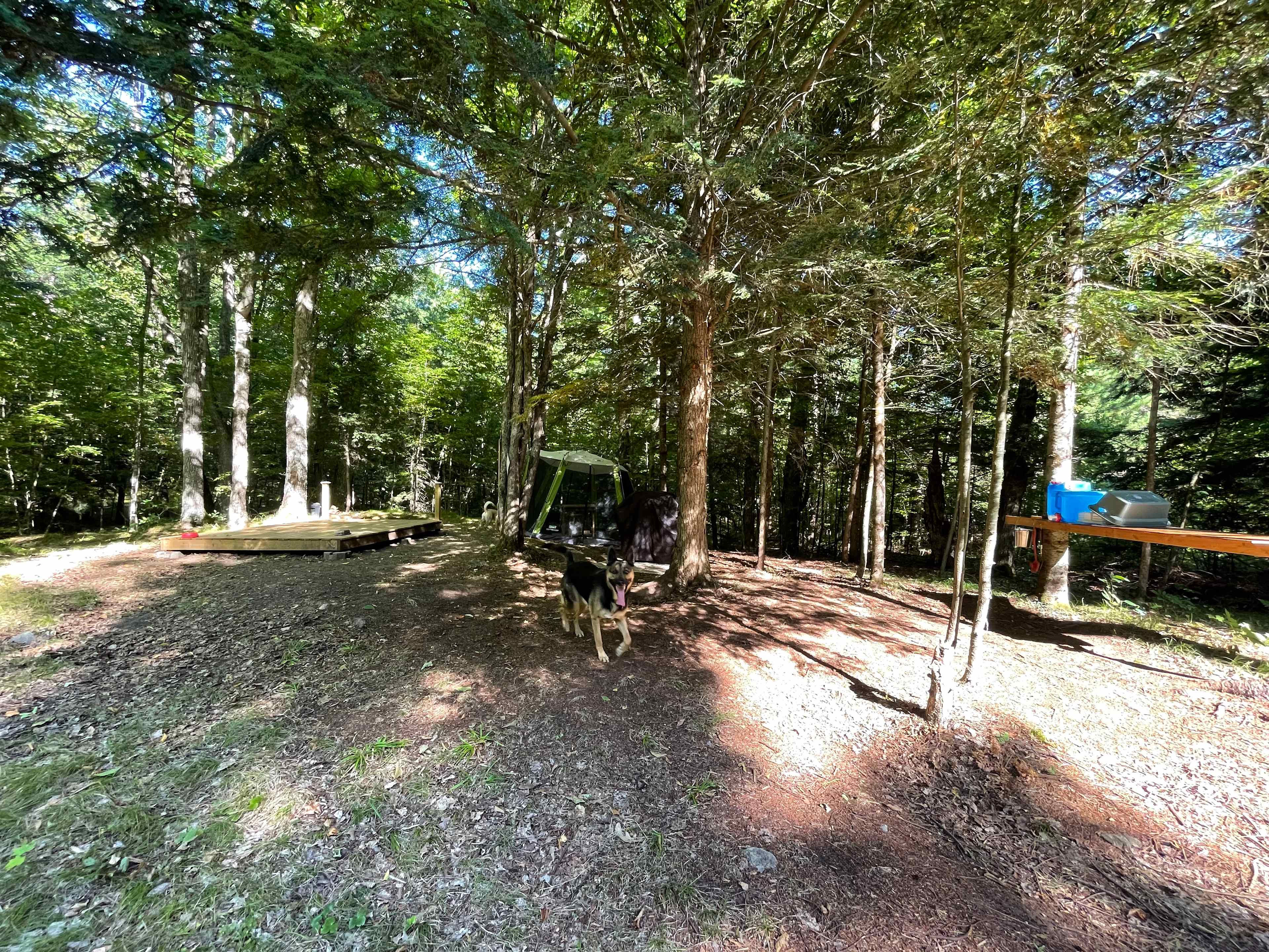 Wilderness Trails At Sumac