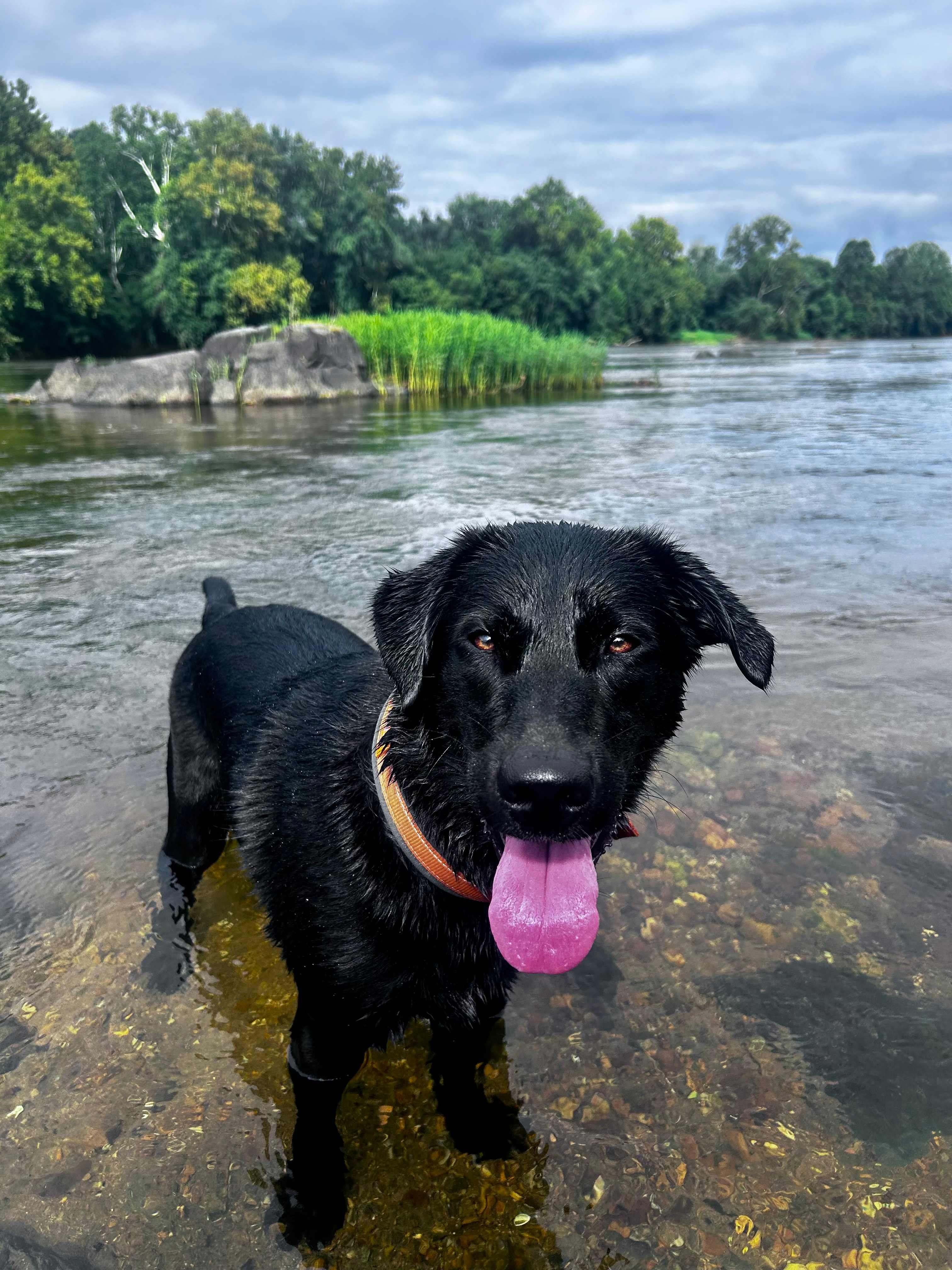 Seven Islands River Front Campsites