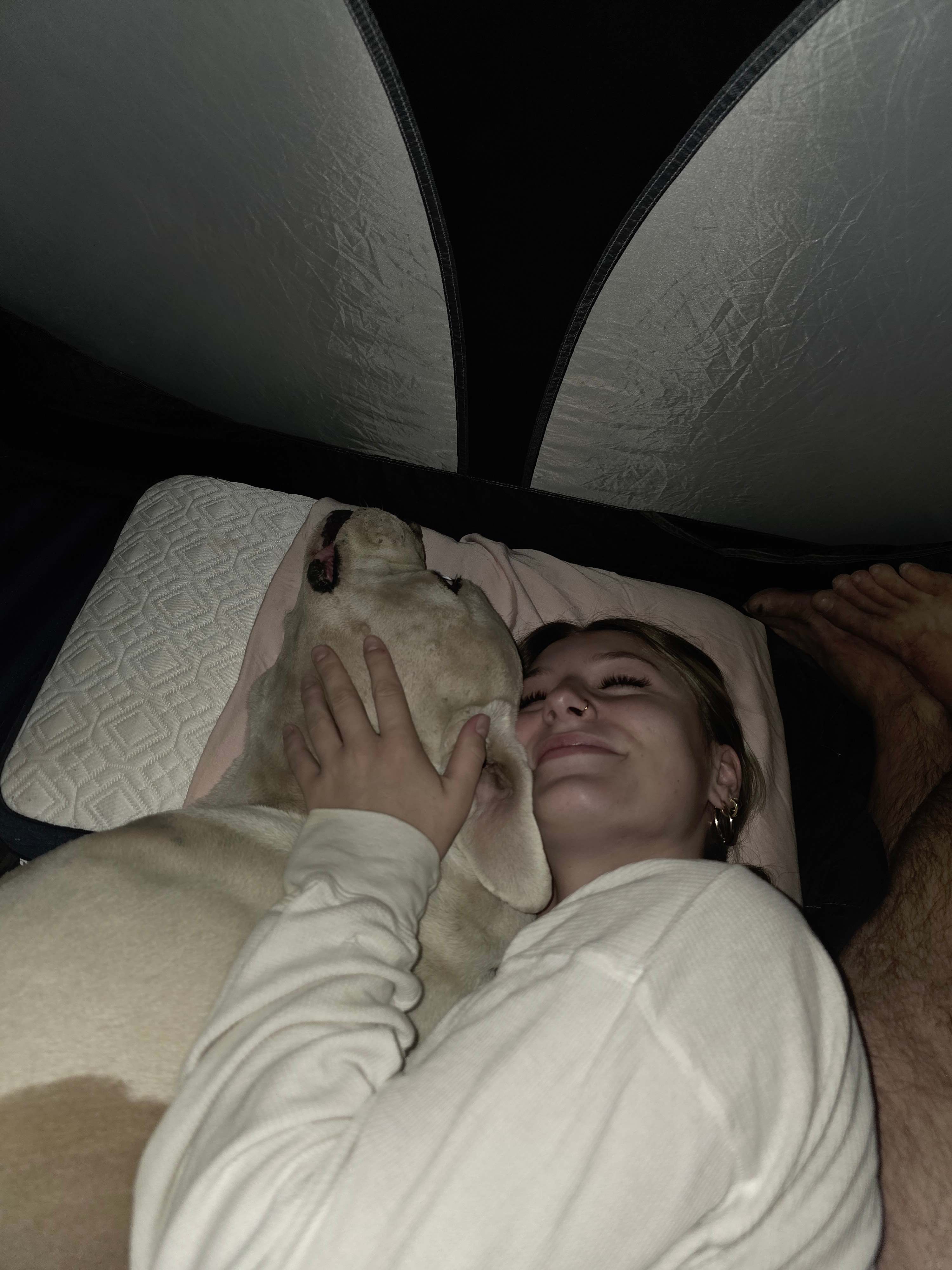 Bakersfield Farm Animals & Pond