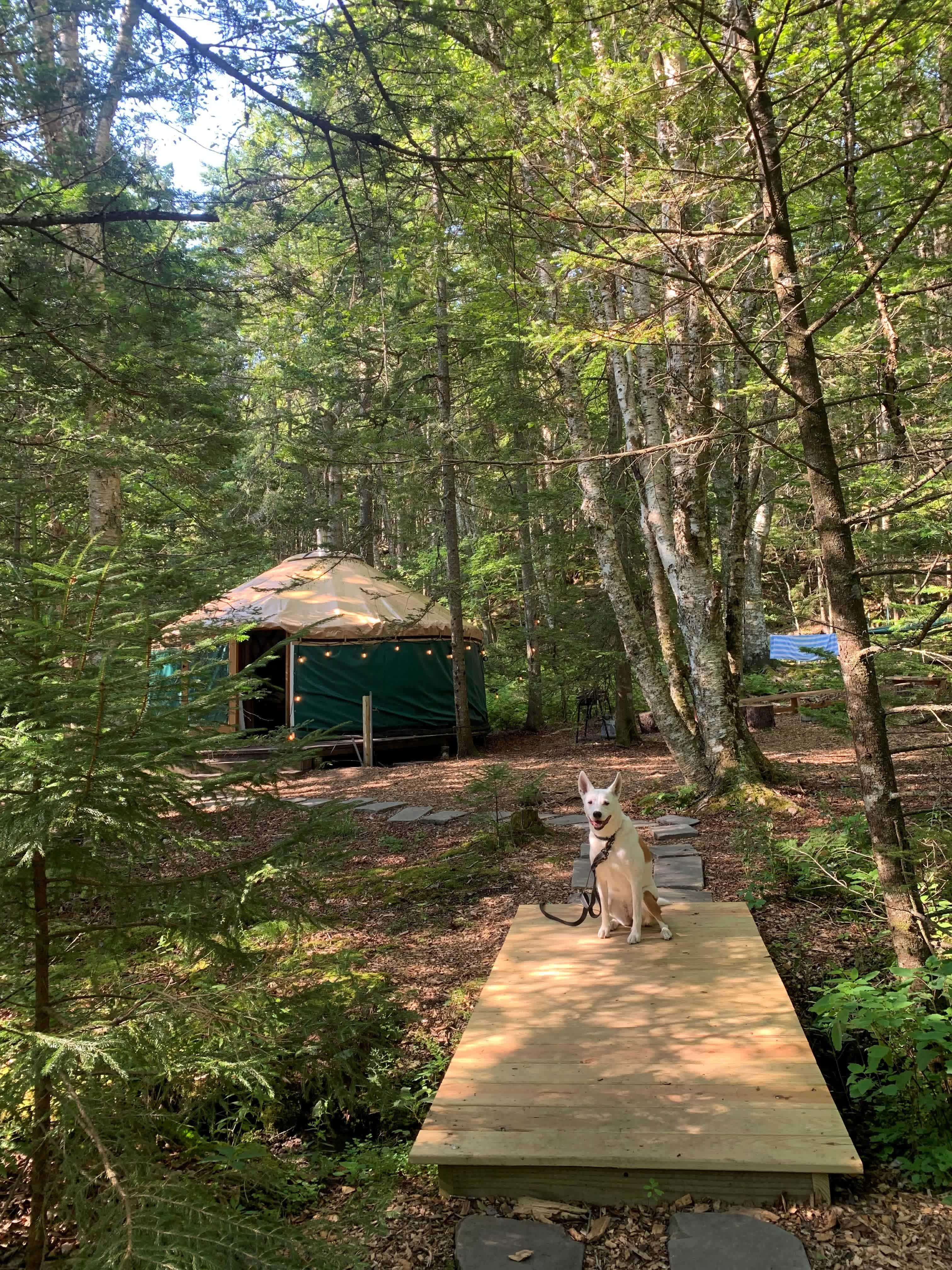 Four Acre Woods Island Campground