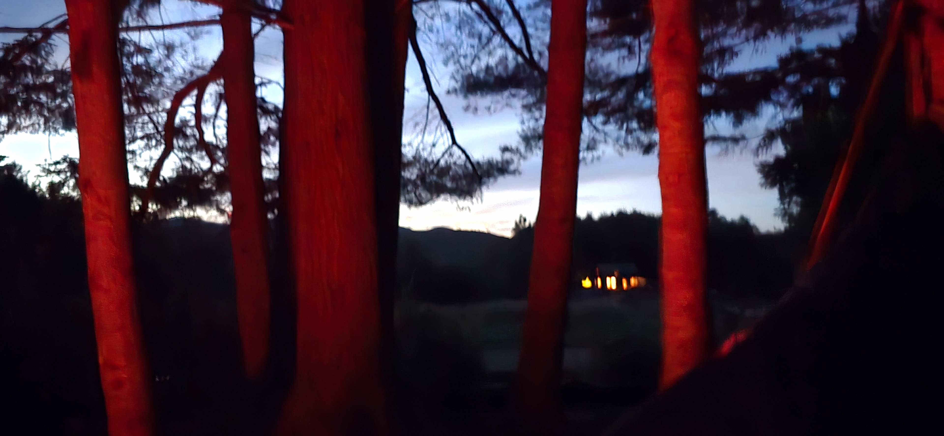 the view from the campfire