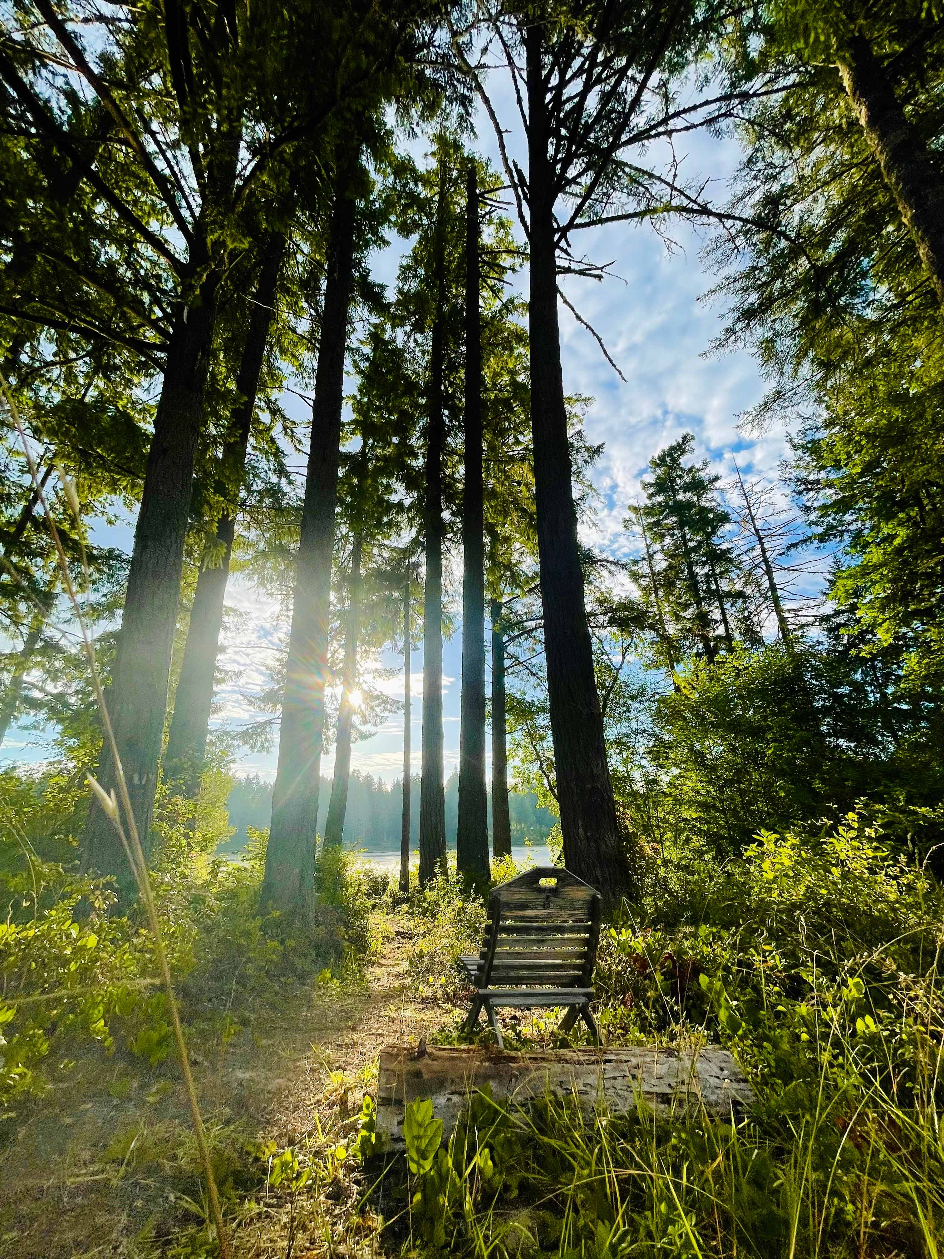 Hidden Meadow Retreat