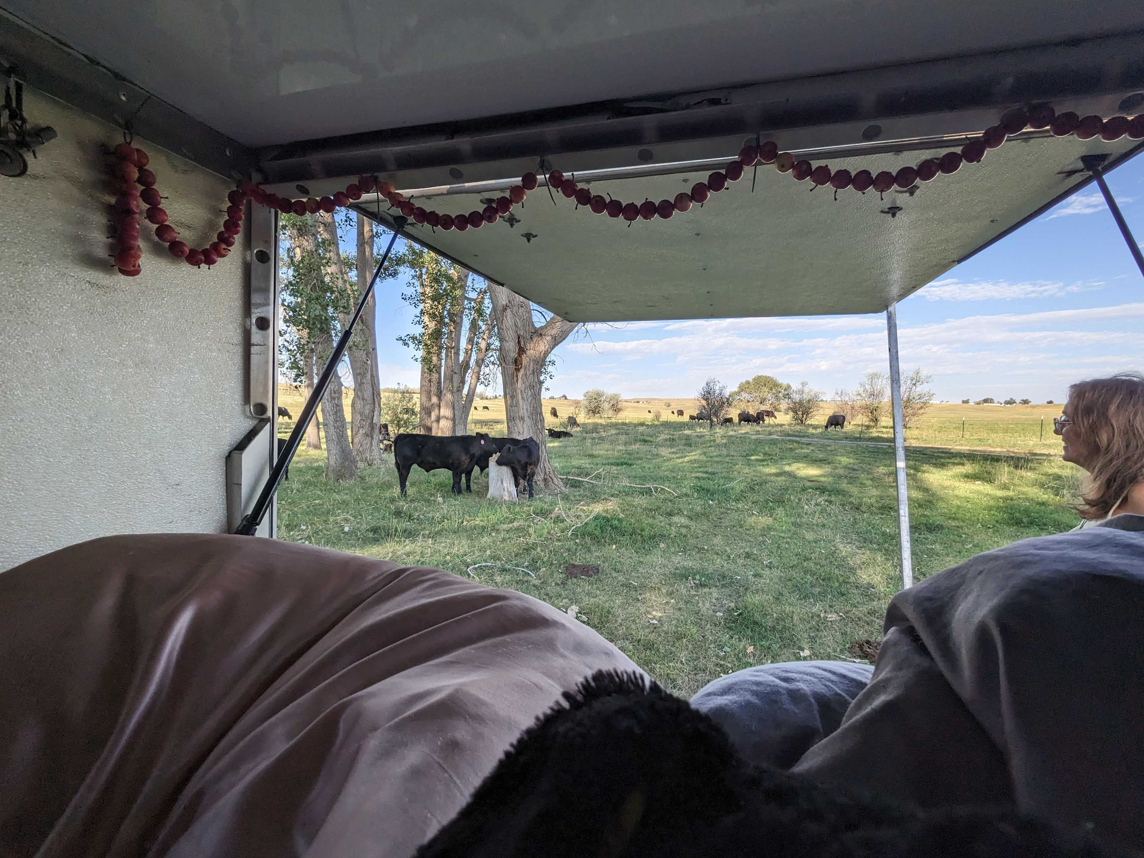 Trees, Lake view, Rock buttes!
