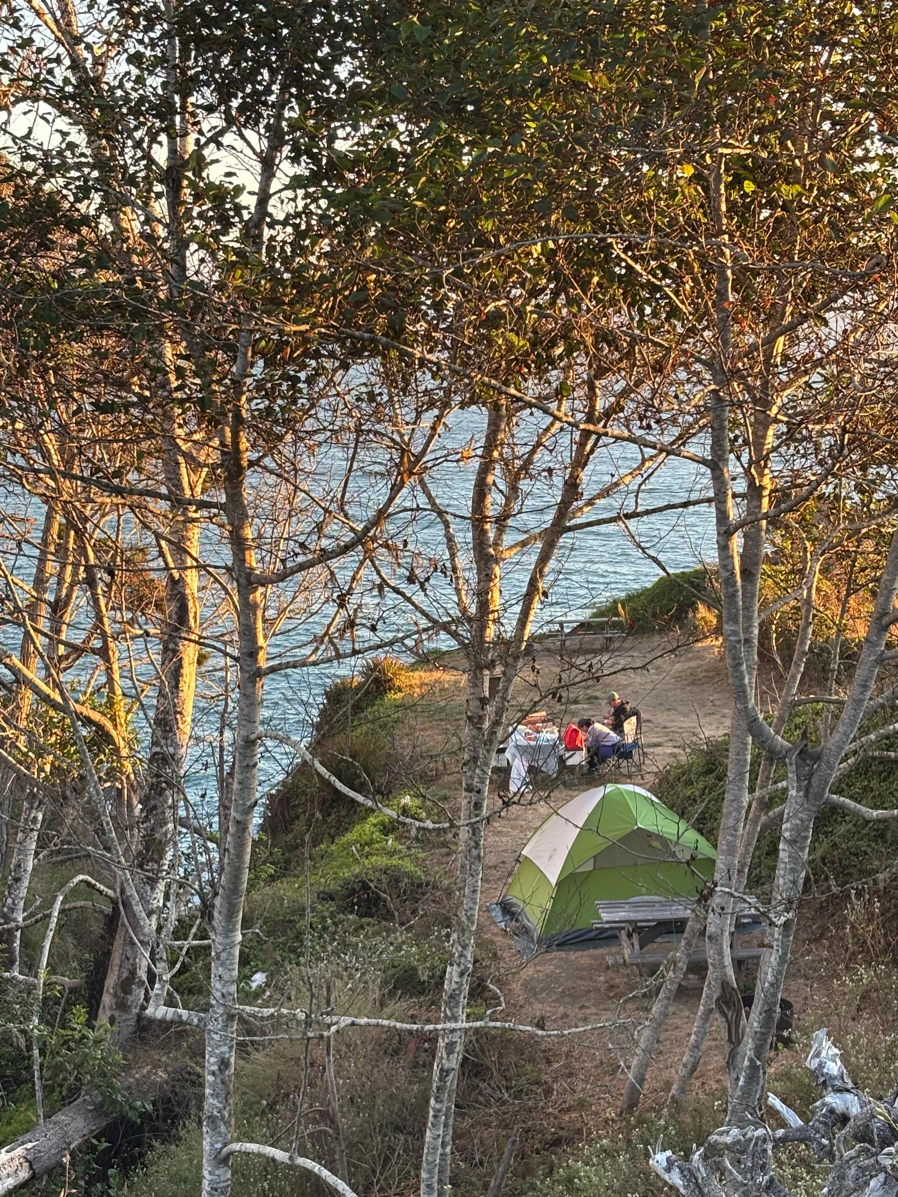Timber Cove Campground