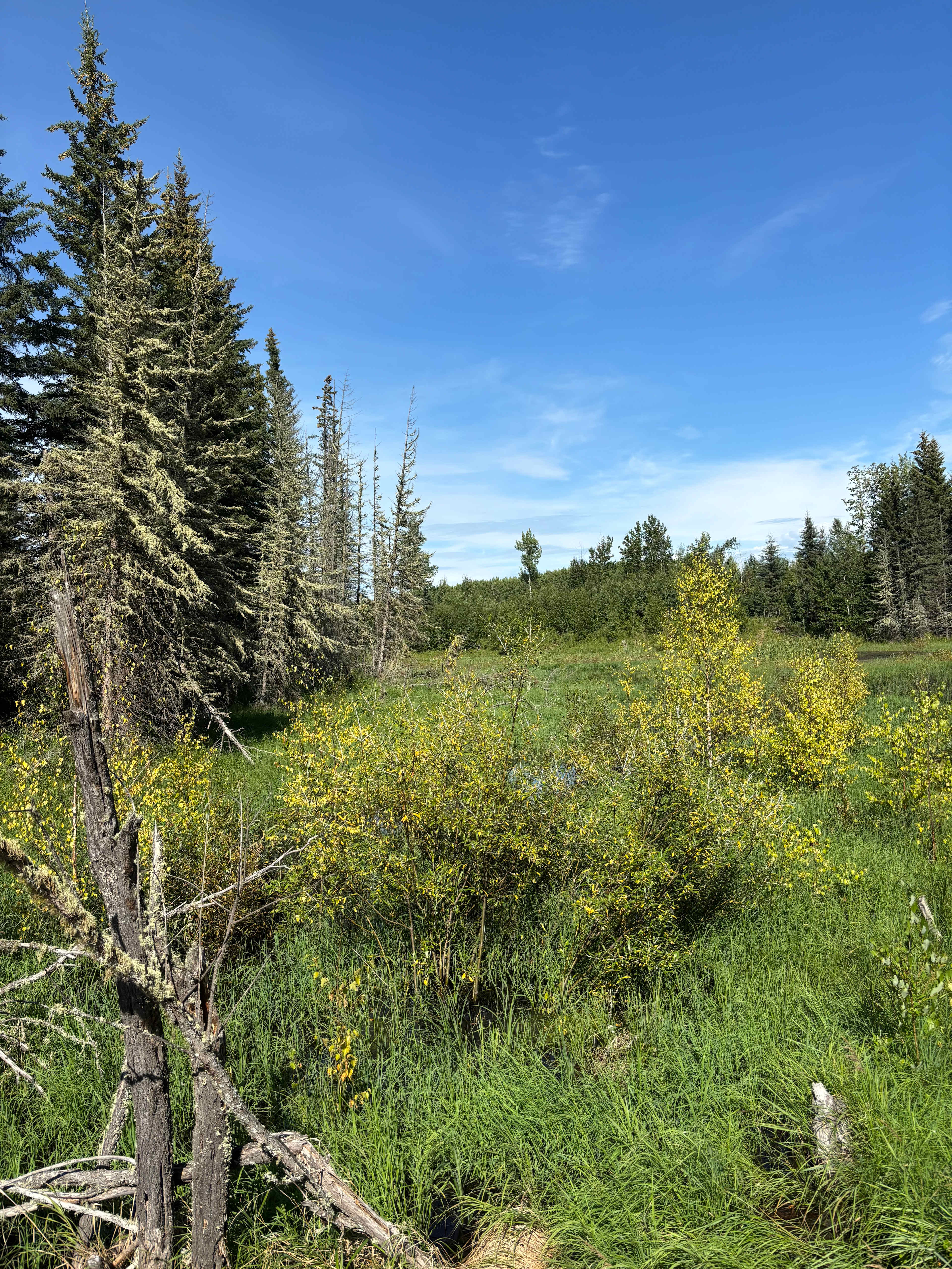 Nature Alive Adventures and Camping