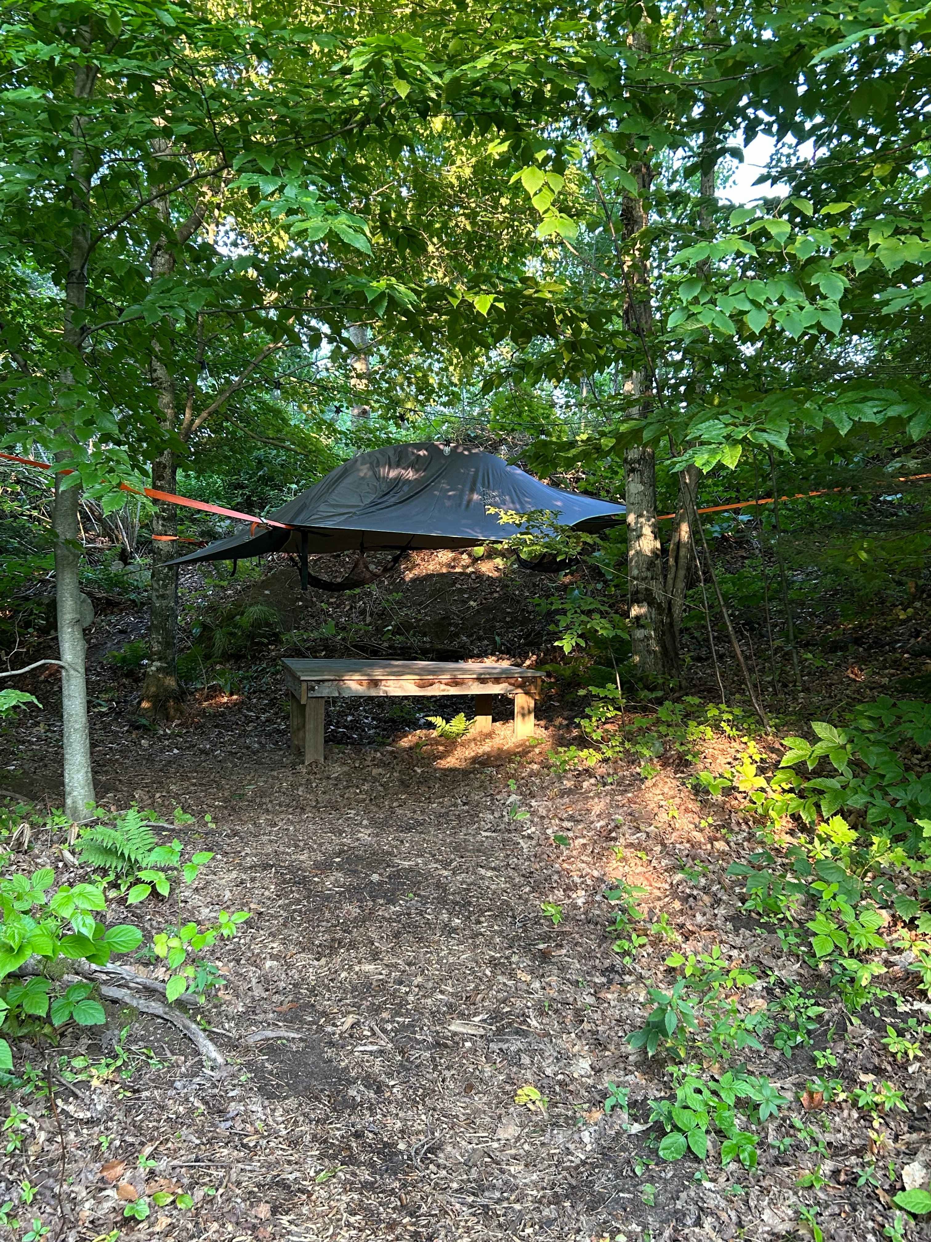 Explore the U.P. from here!