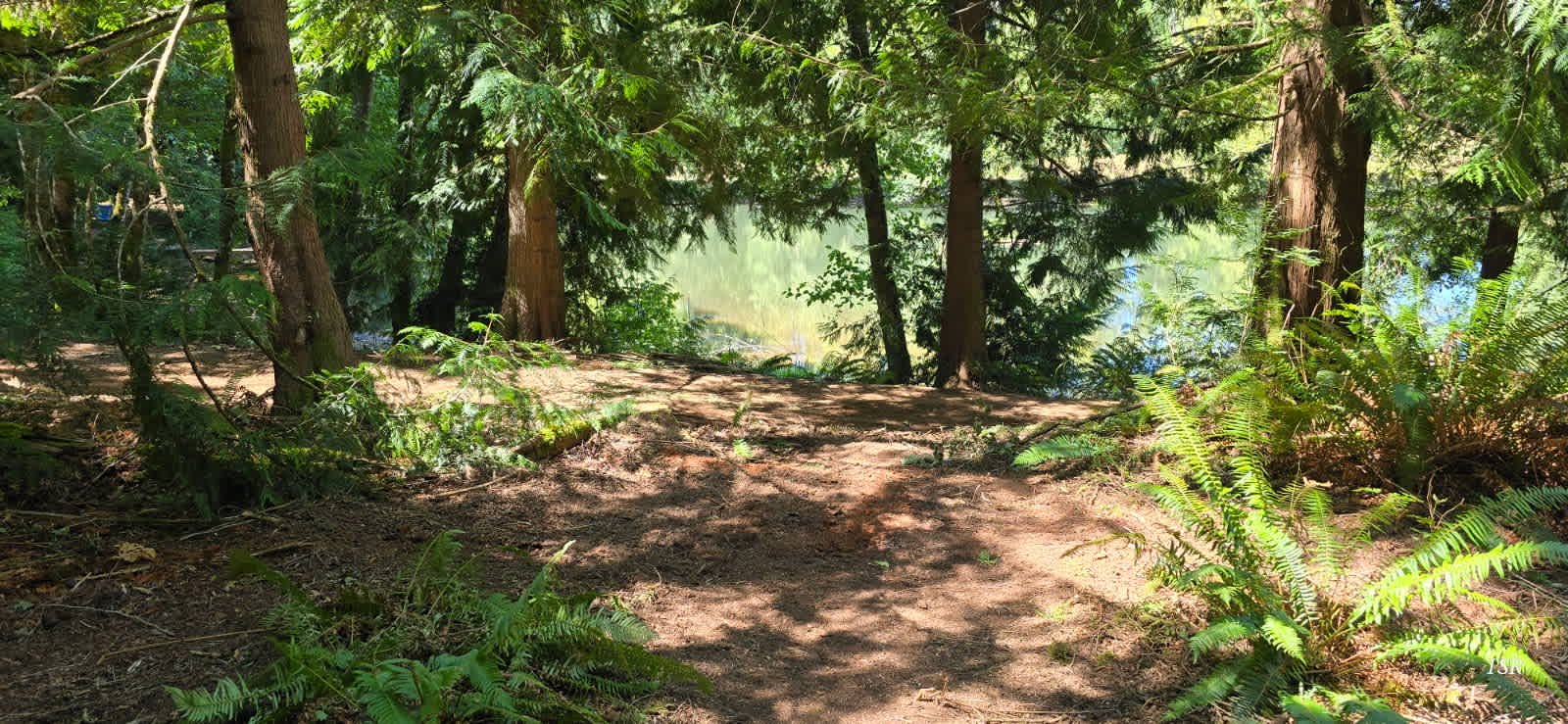 Cedar Hollow - Photo 3