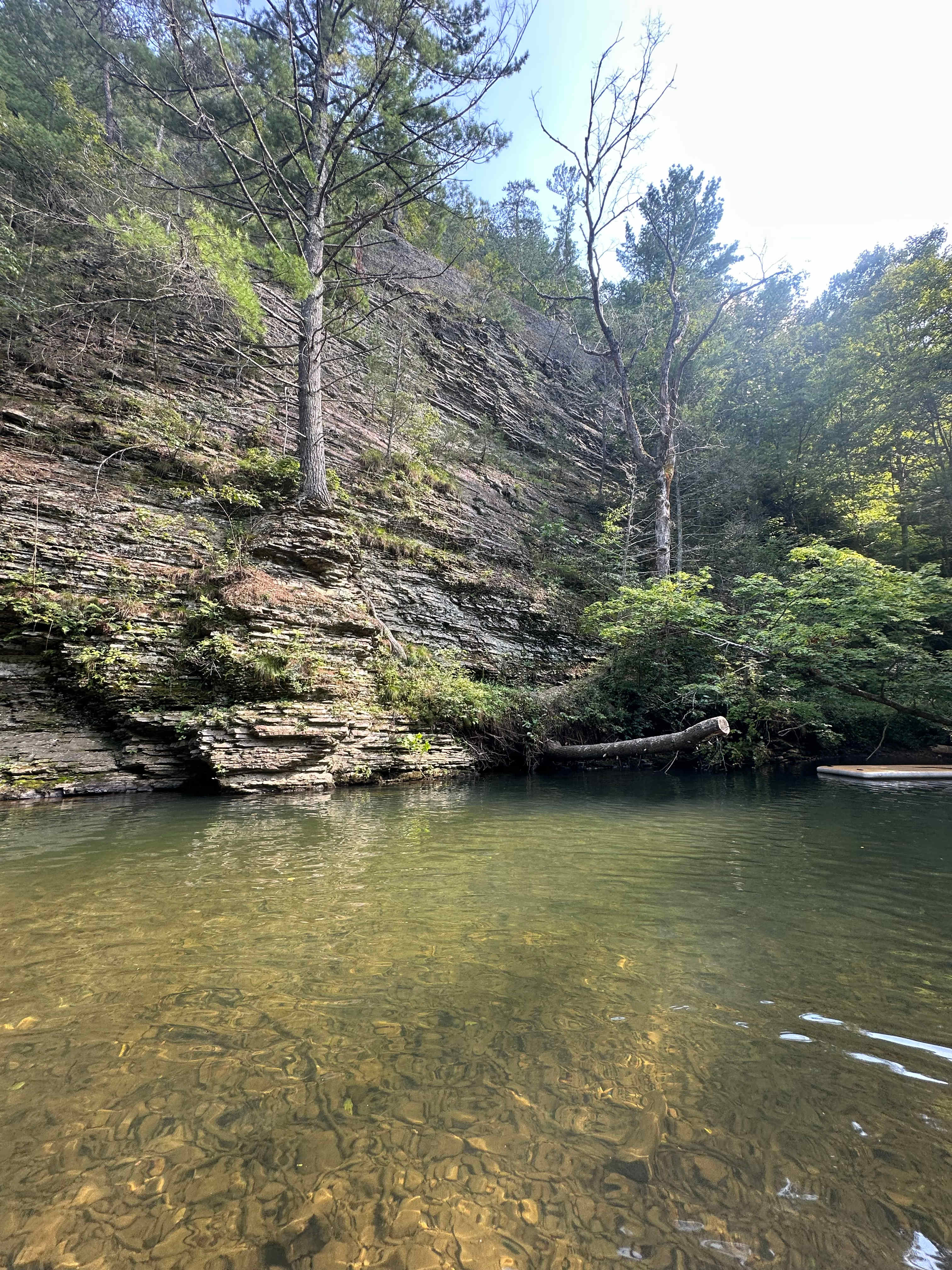 Savage Acres on Craig Creek