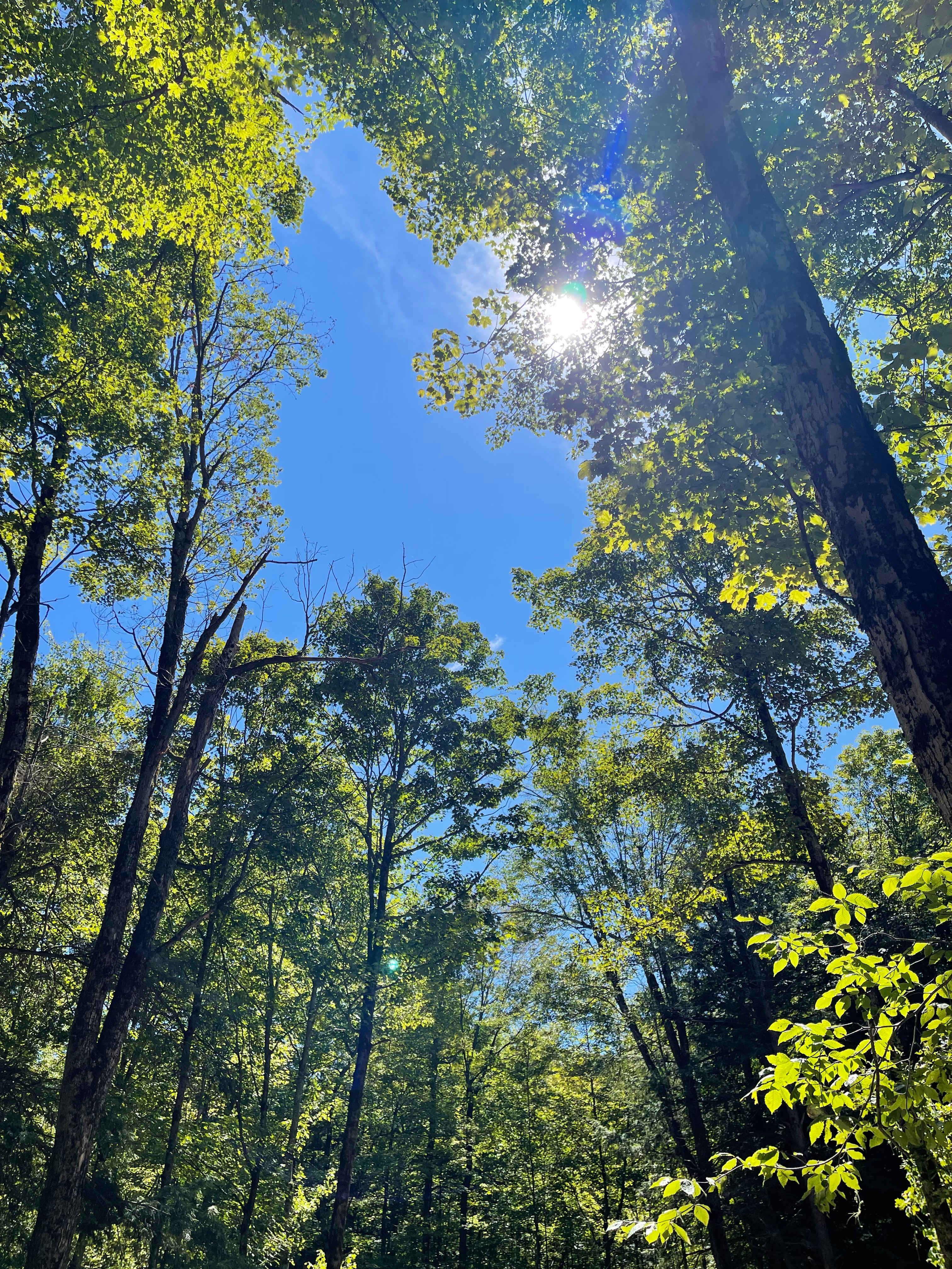 Smyrna Lake Campsite