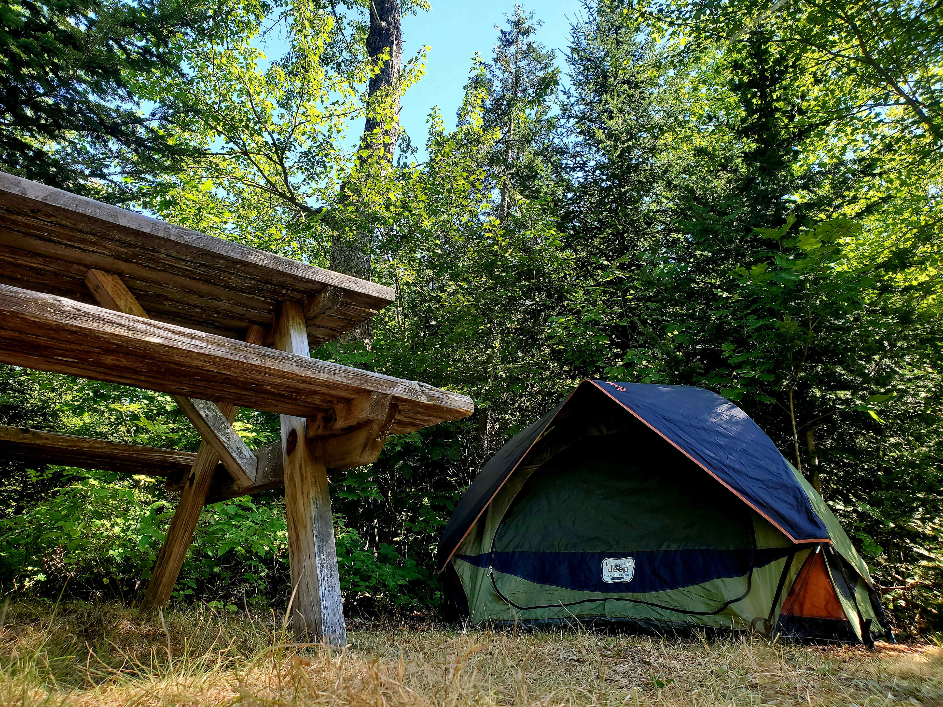 Chickadee Hollow: Eco Camping