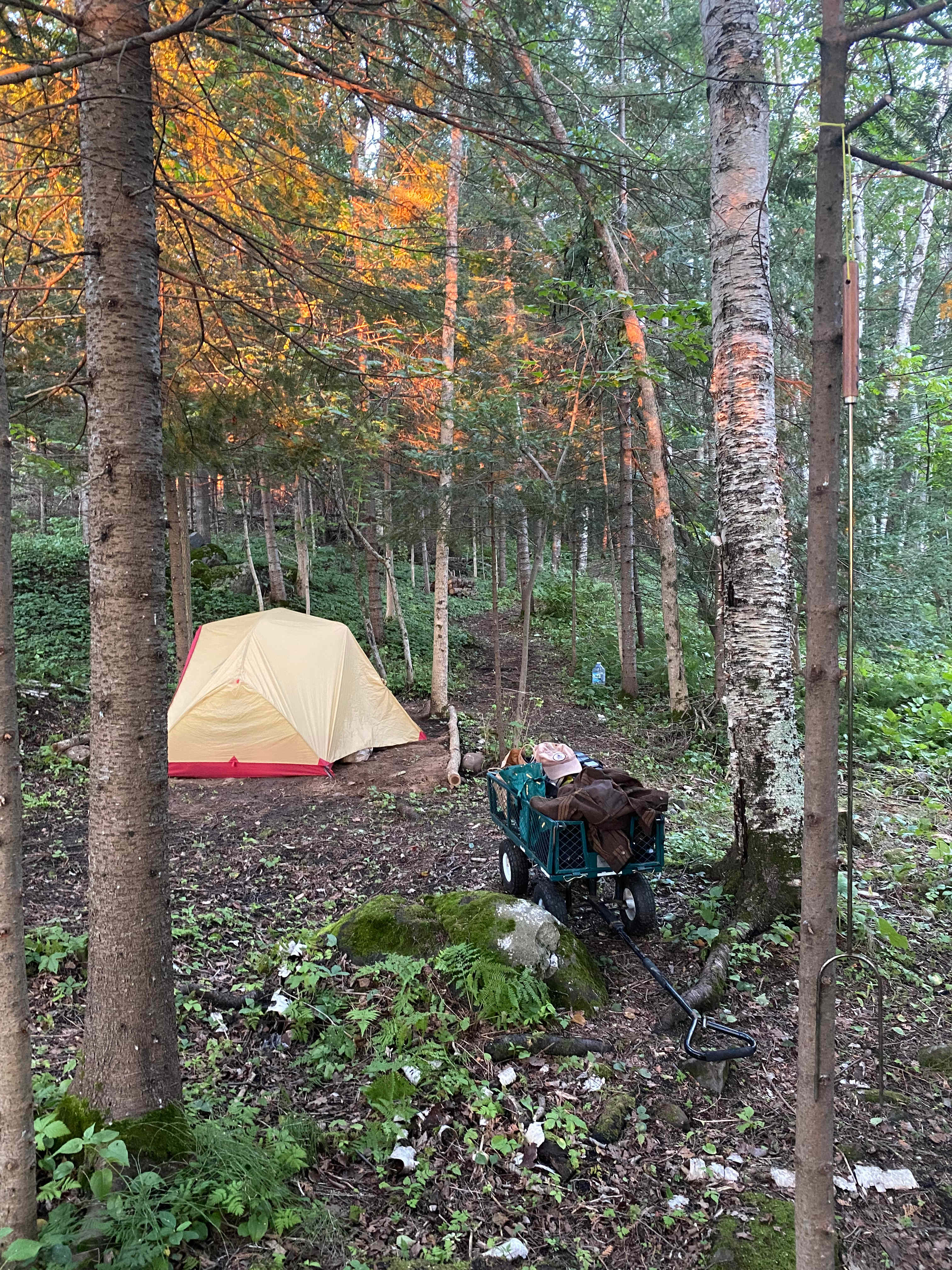 Loon Hollow-The Cedar Grove & Cabin