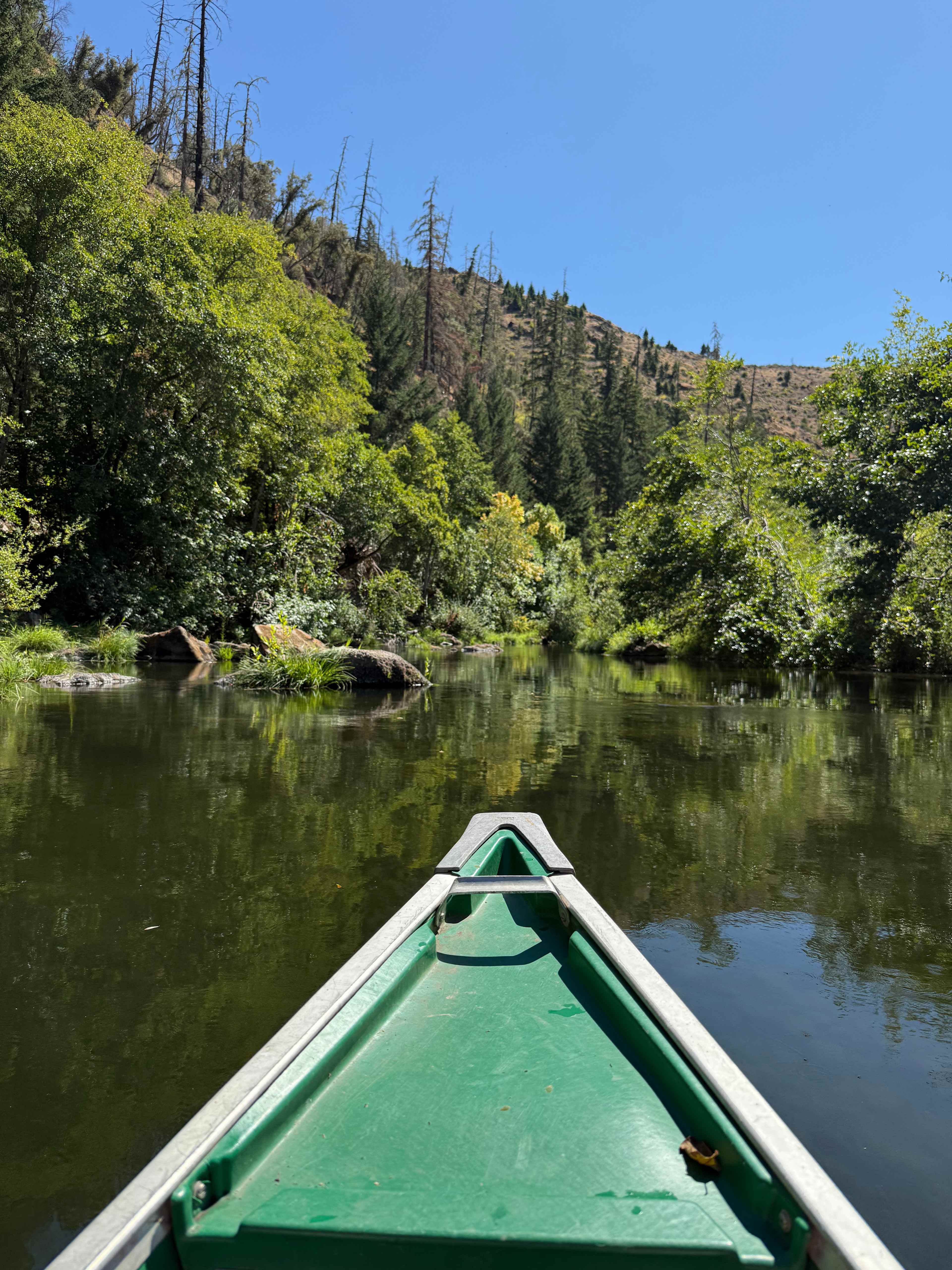 The free canoes were awesome.