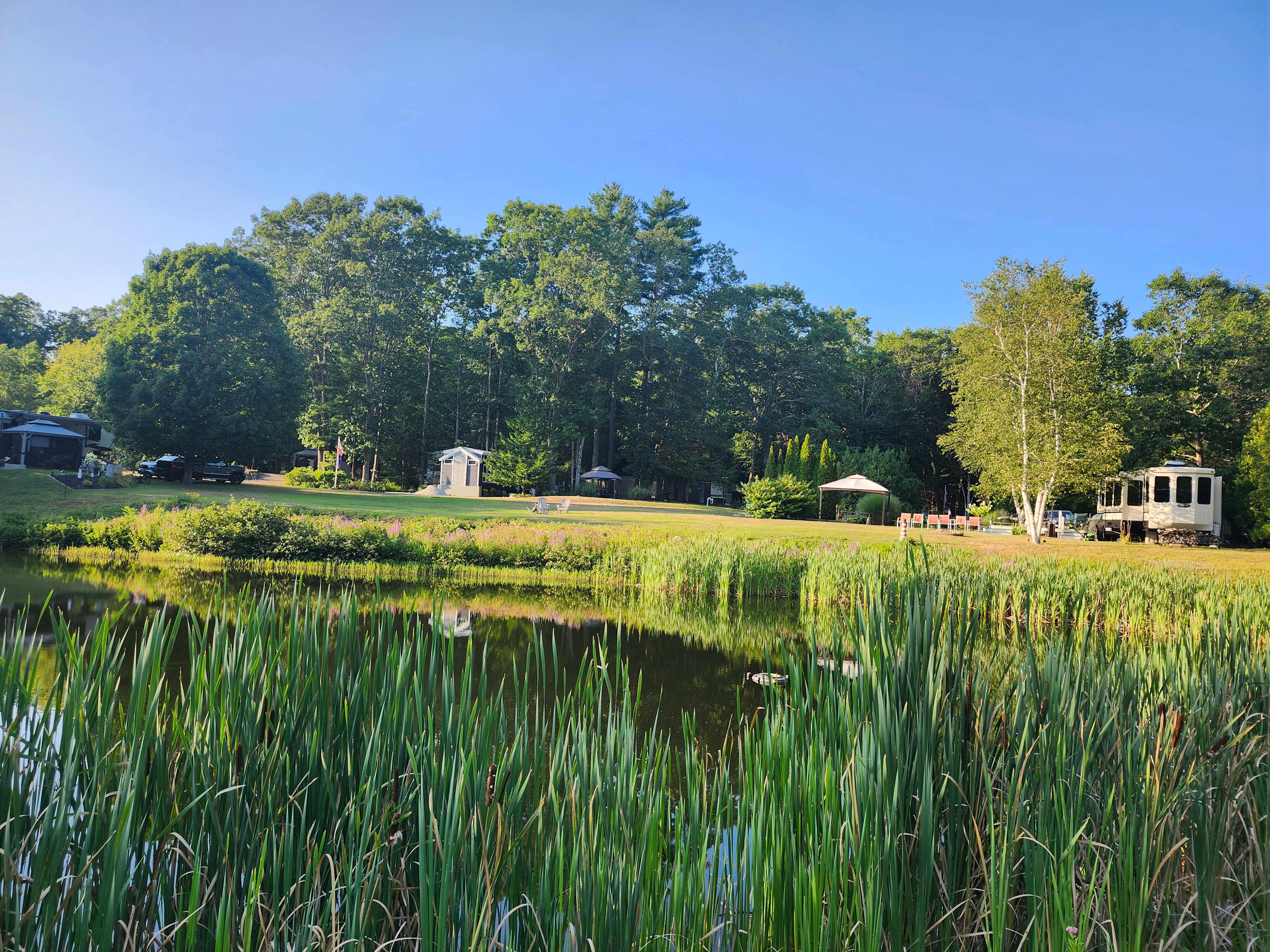 Pinederosa Campground