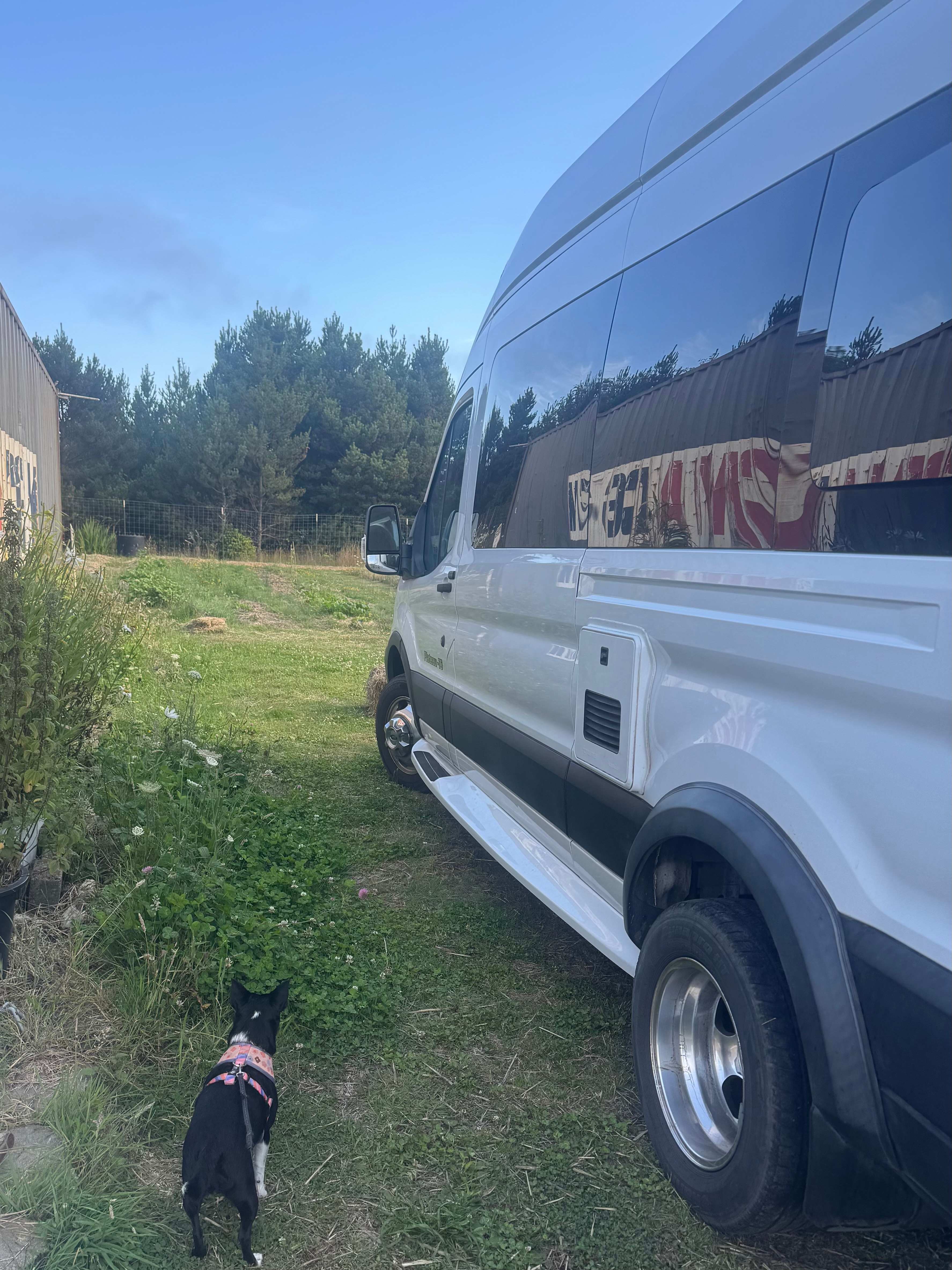 Coastal Farm Sanctuary