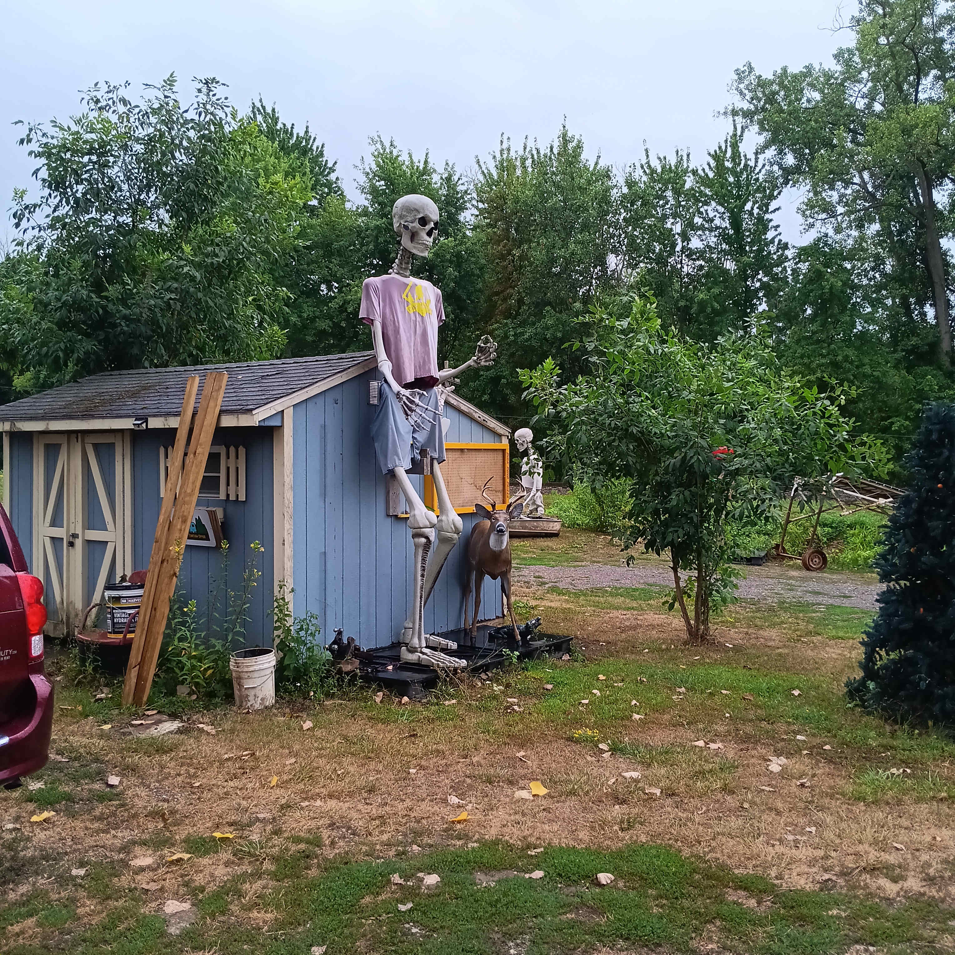 Tomtuga on the Erie Canal