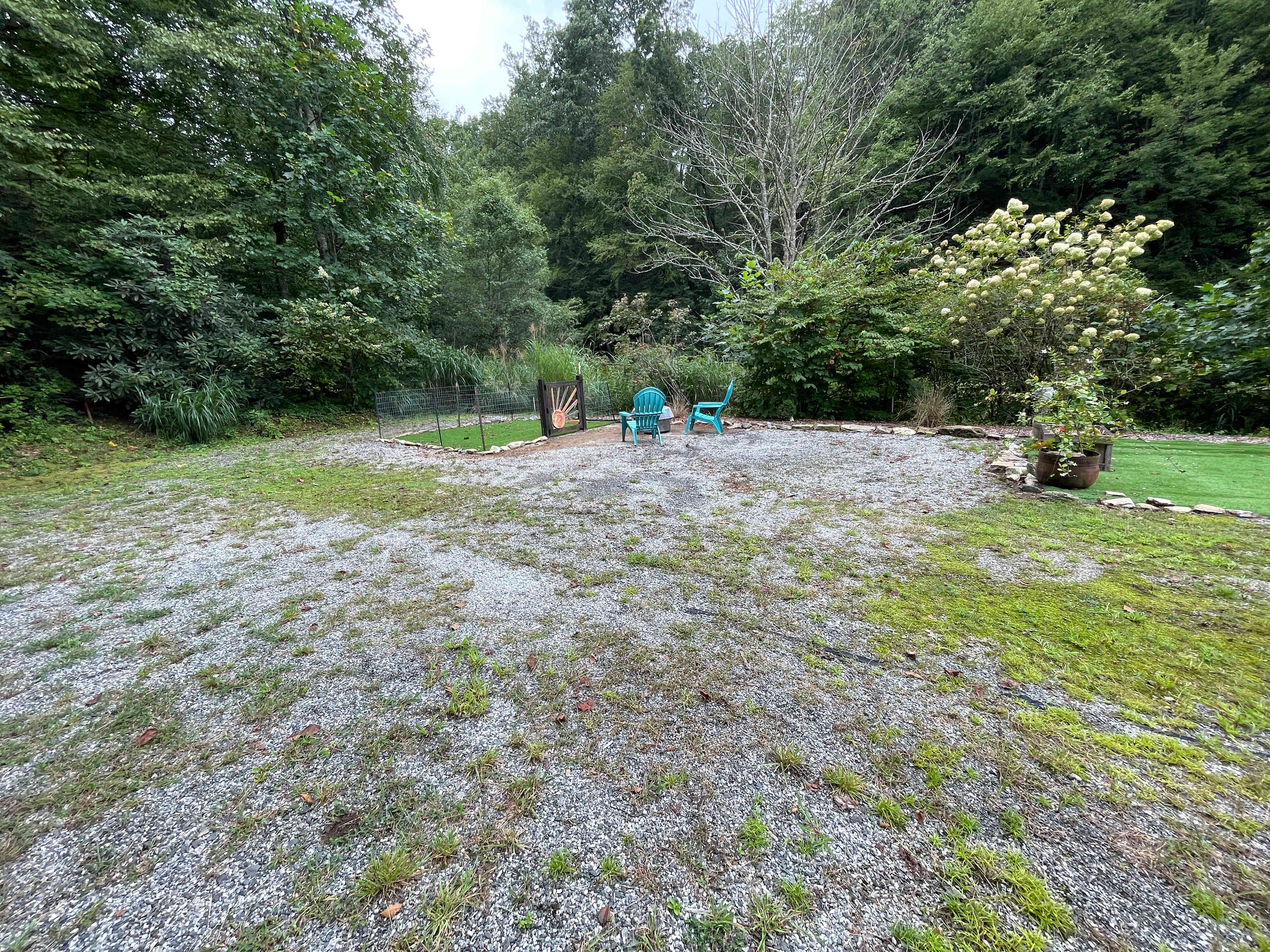 Picture of the site