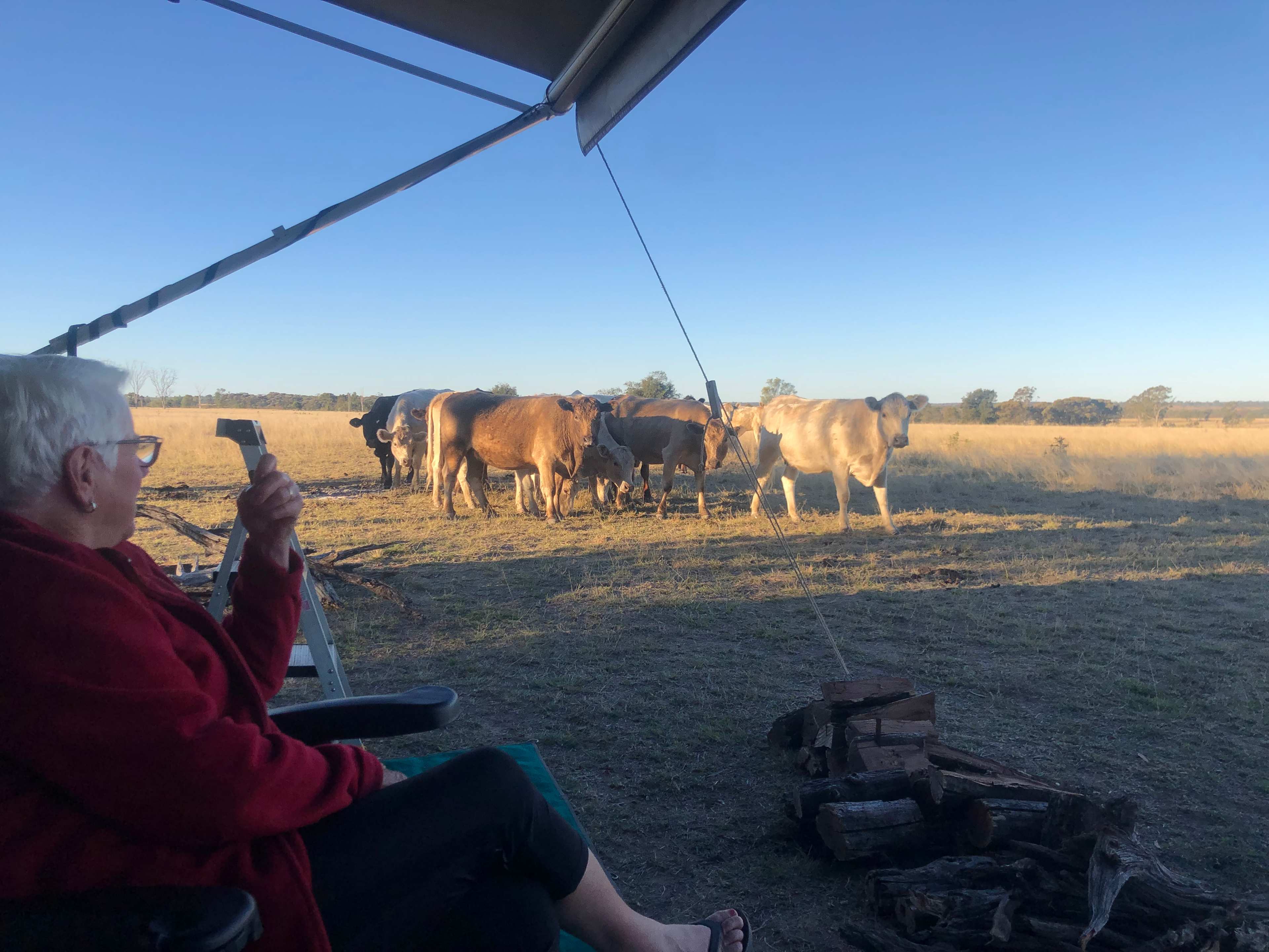 El Dorado Farm Visit