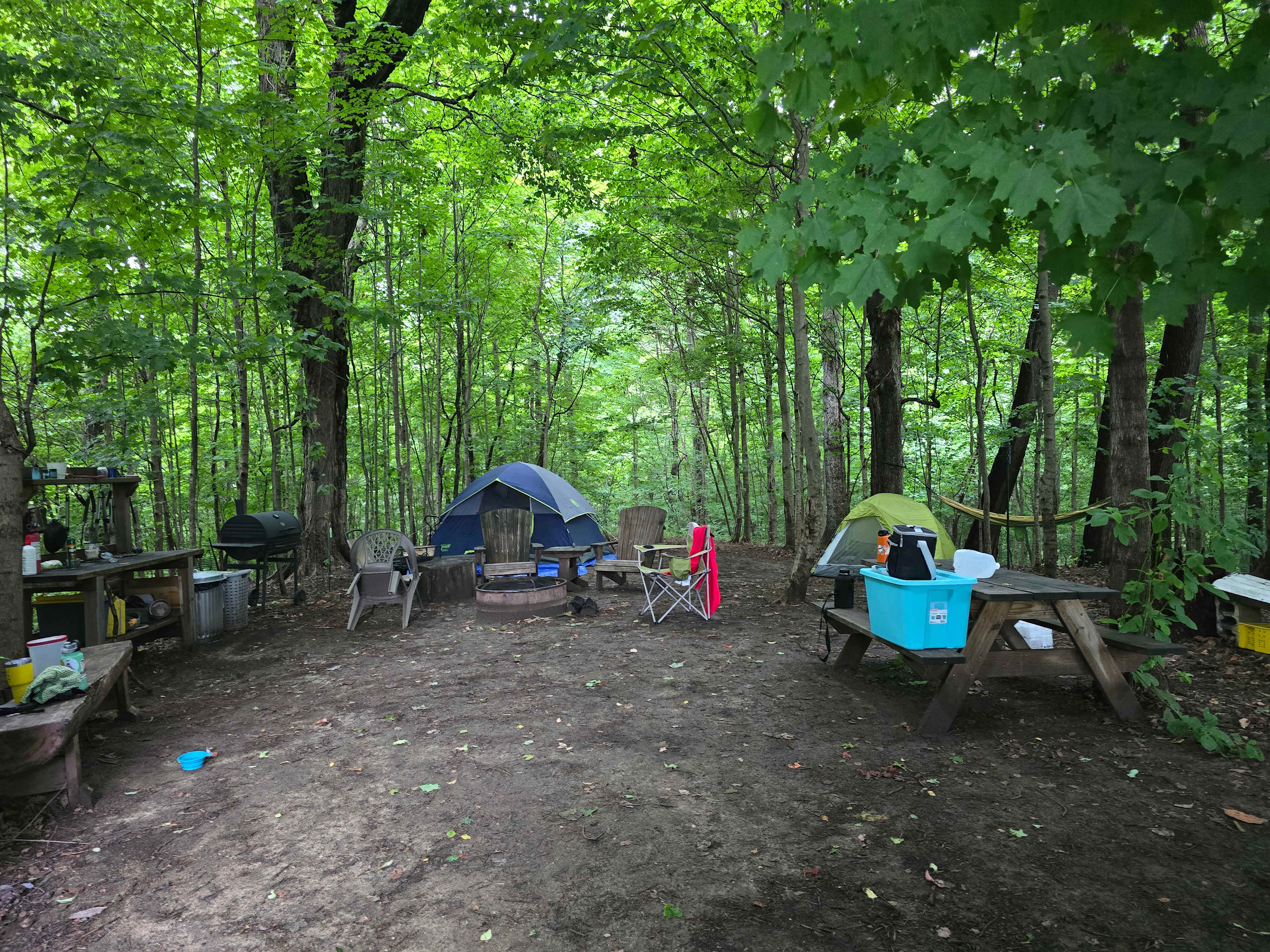 Mulln-Heim Vineyards