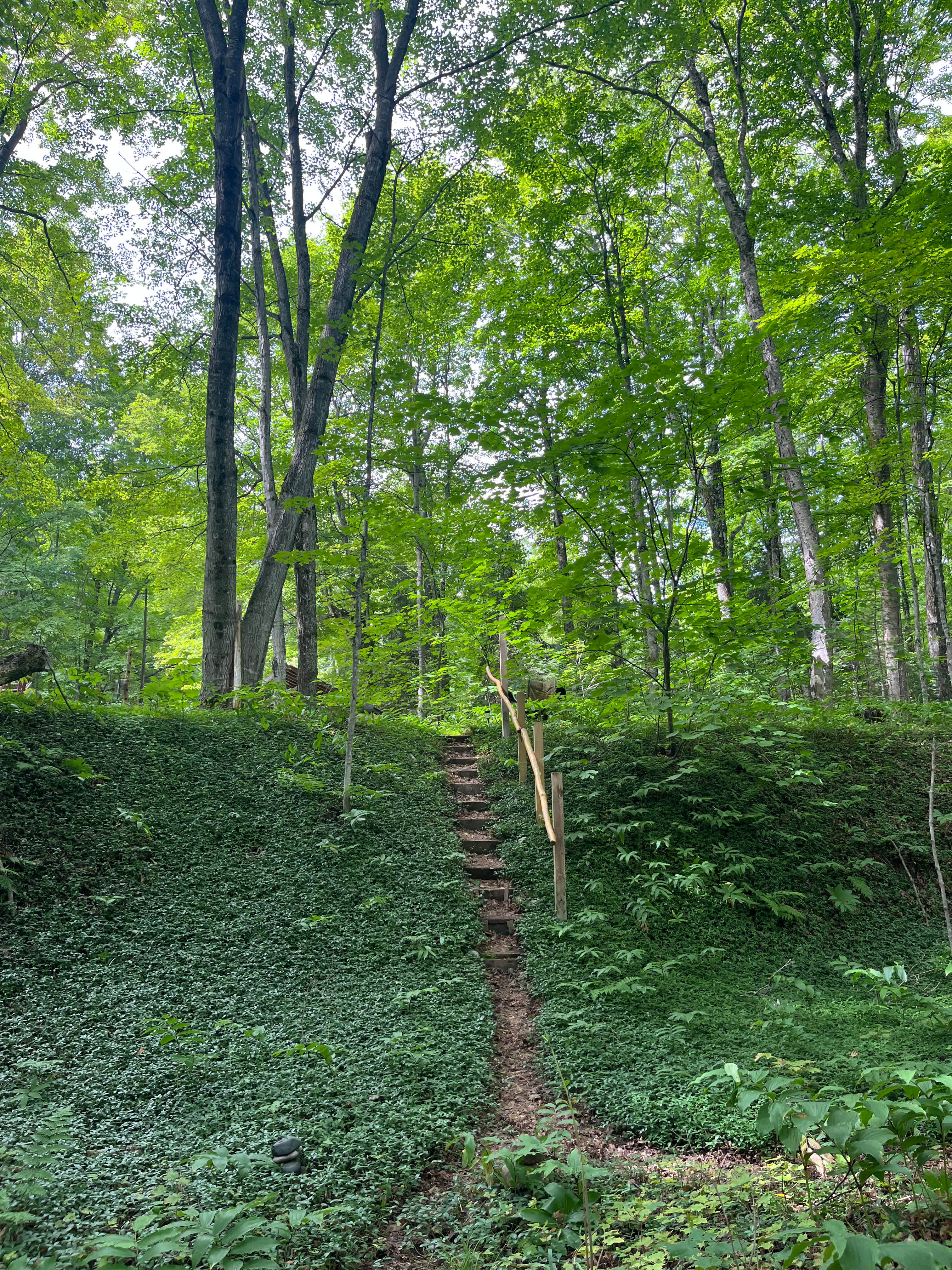 the trail down to the river