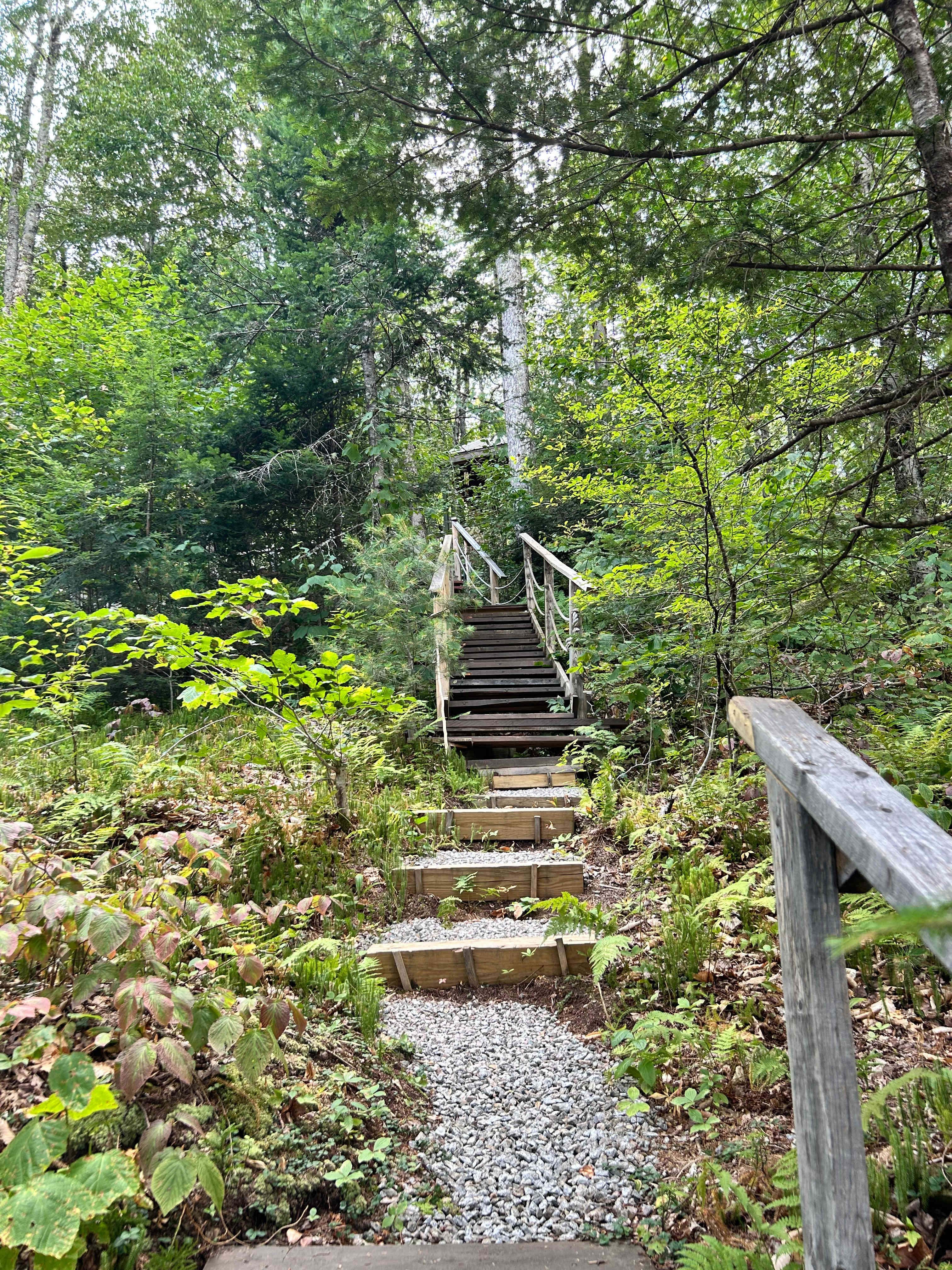 Steps from trail/dock to house 