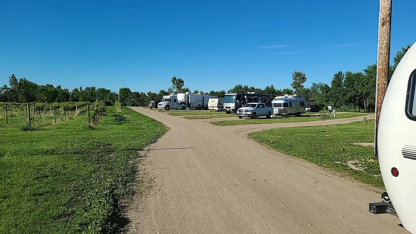 Viking Vines RV Campground