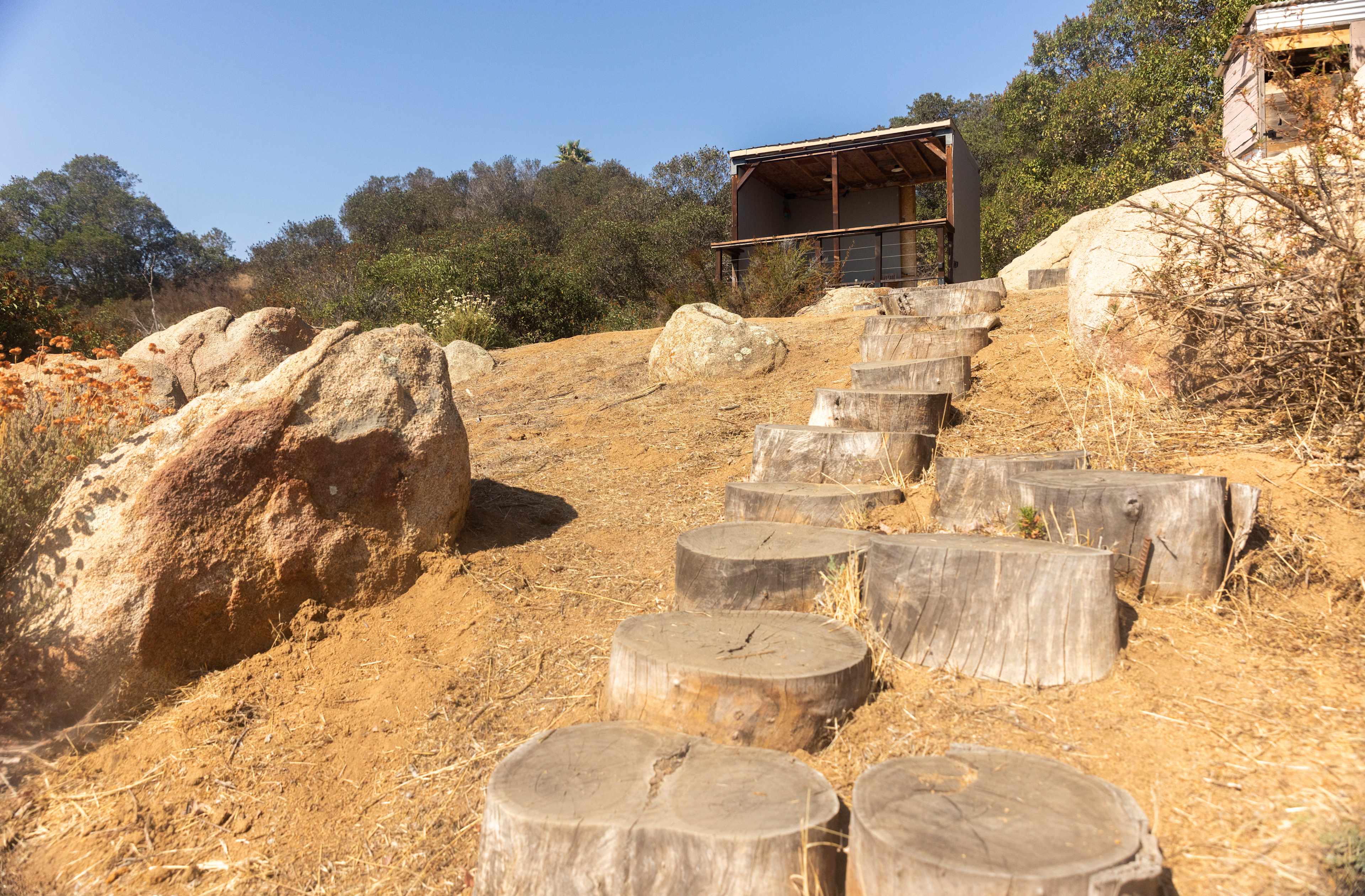 Zephyr Mountain Avocado Grove