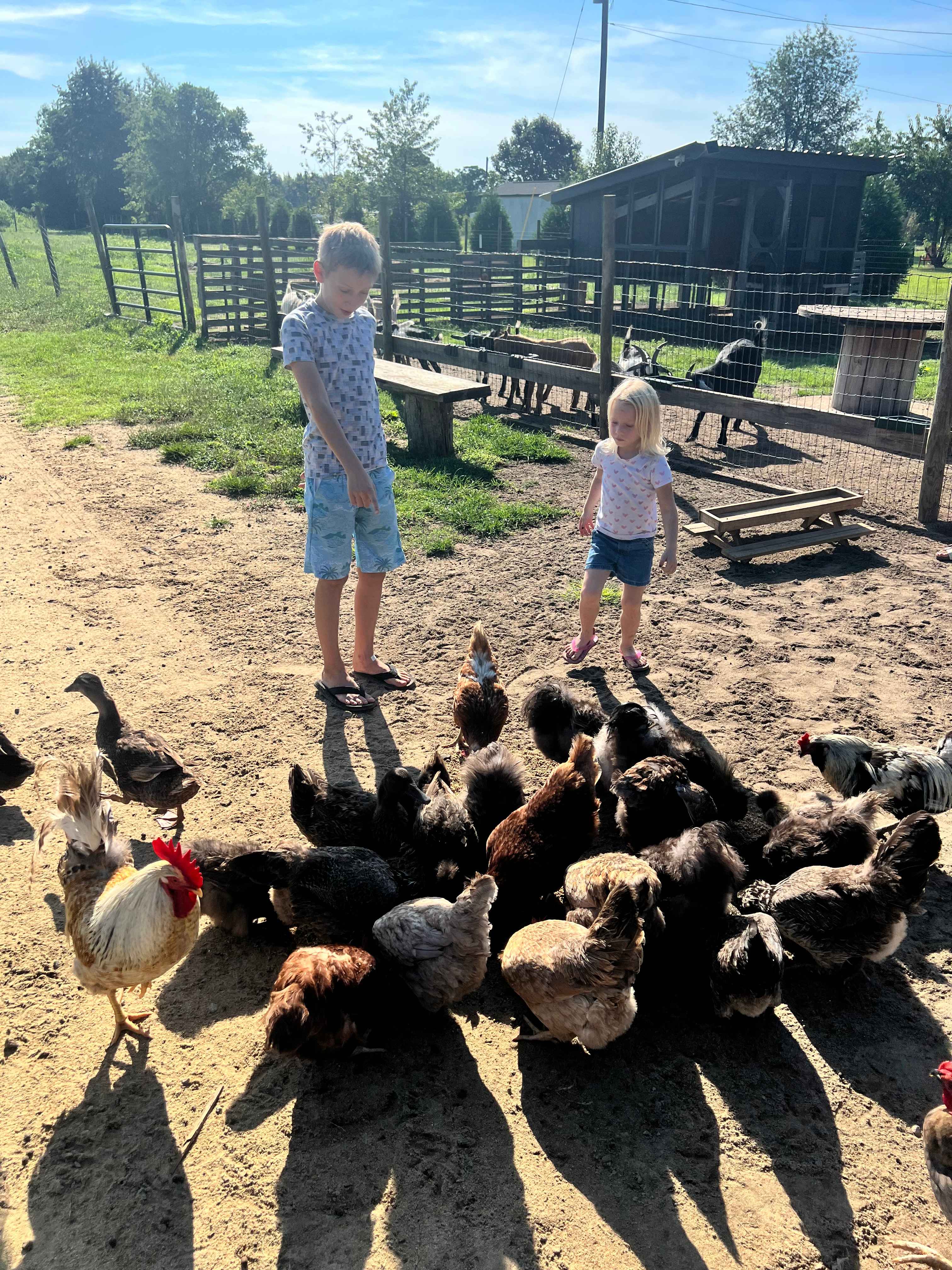 Camp at The Farm - Outside Inn