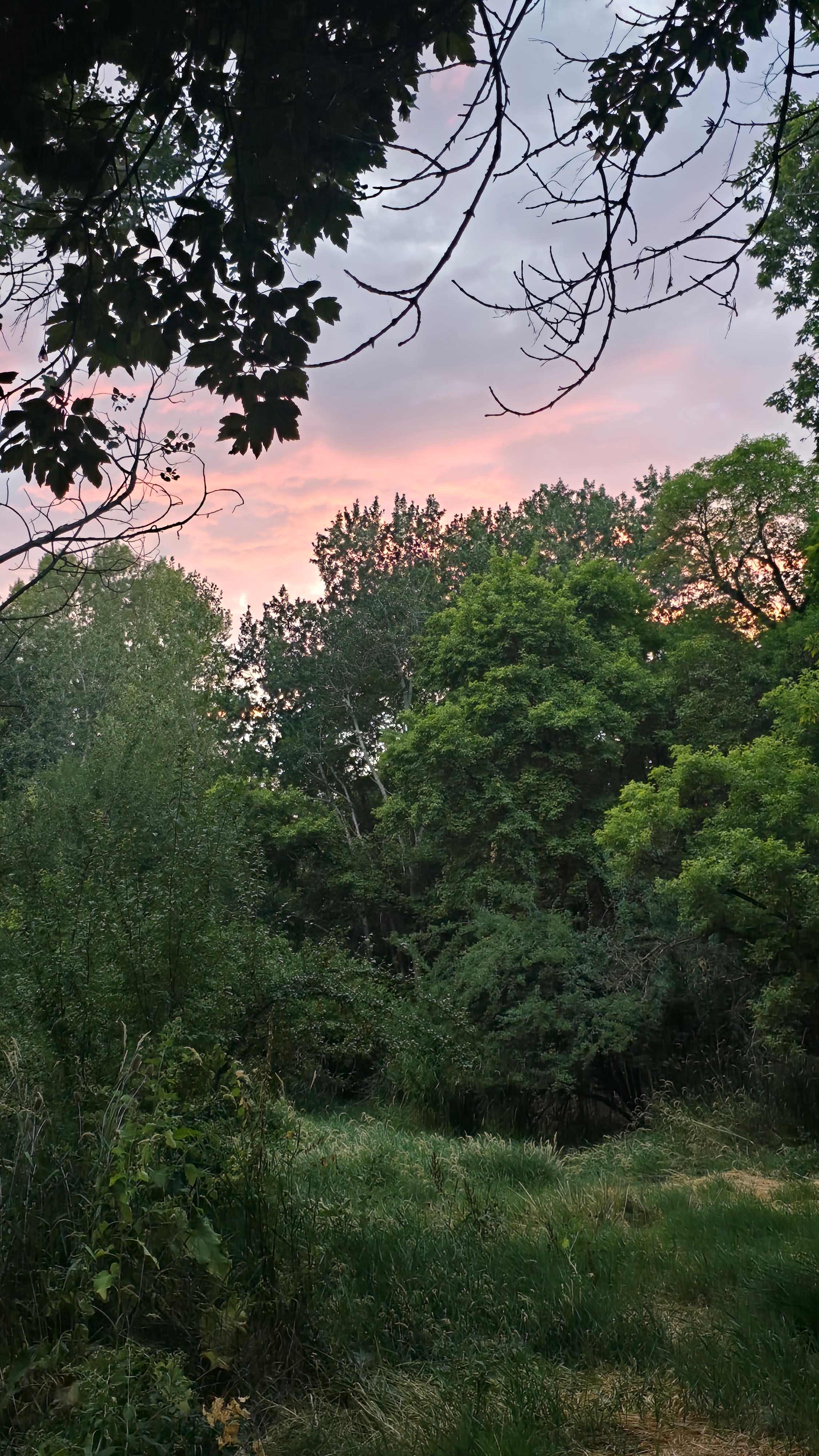 Secluded Maple Creek River bottoms