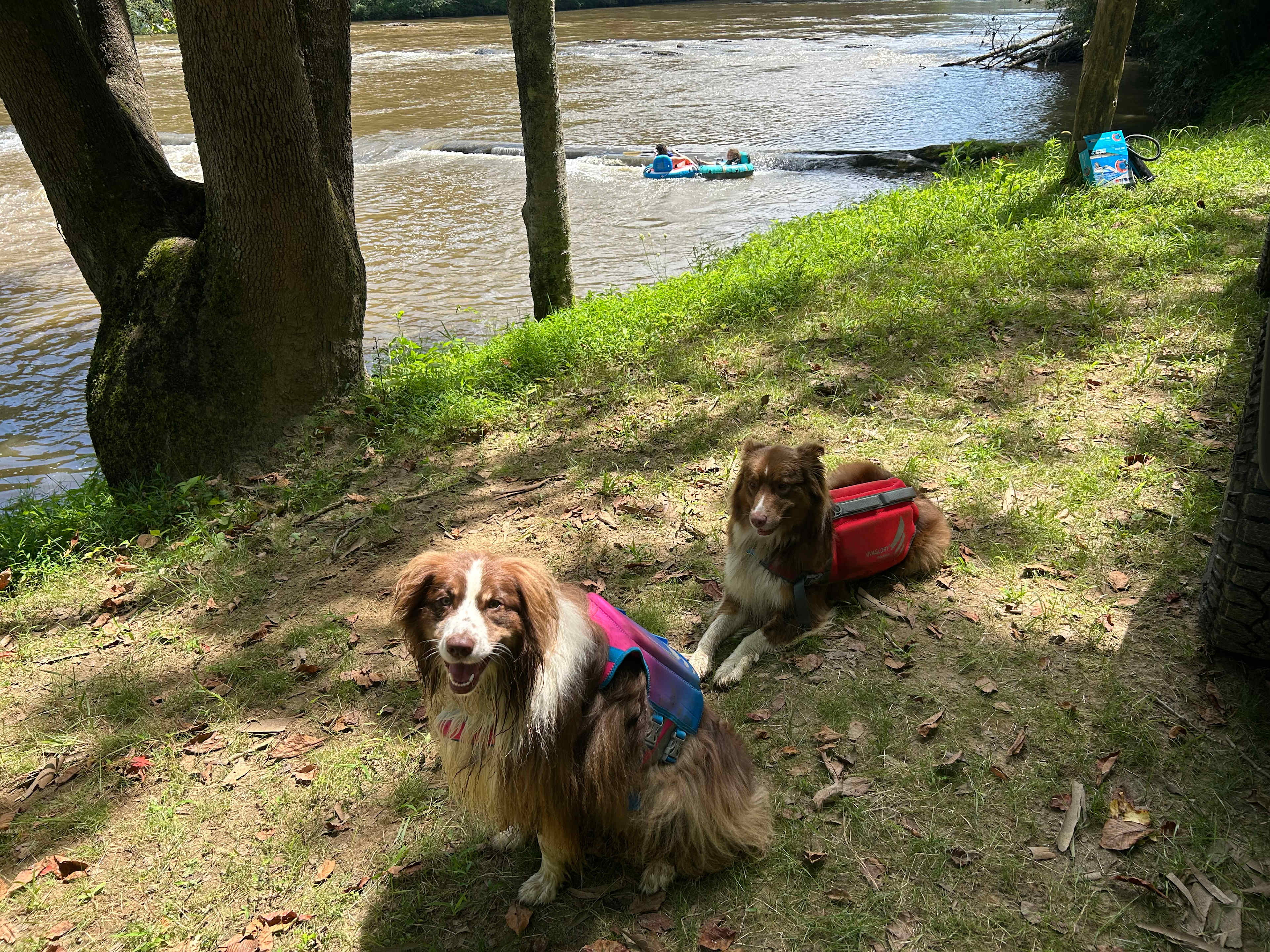 Peak A View Farm & Camp