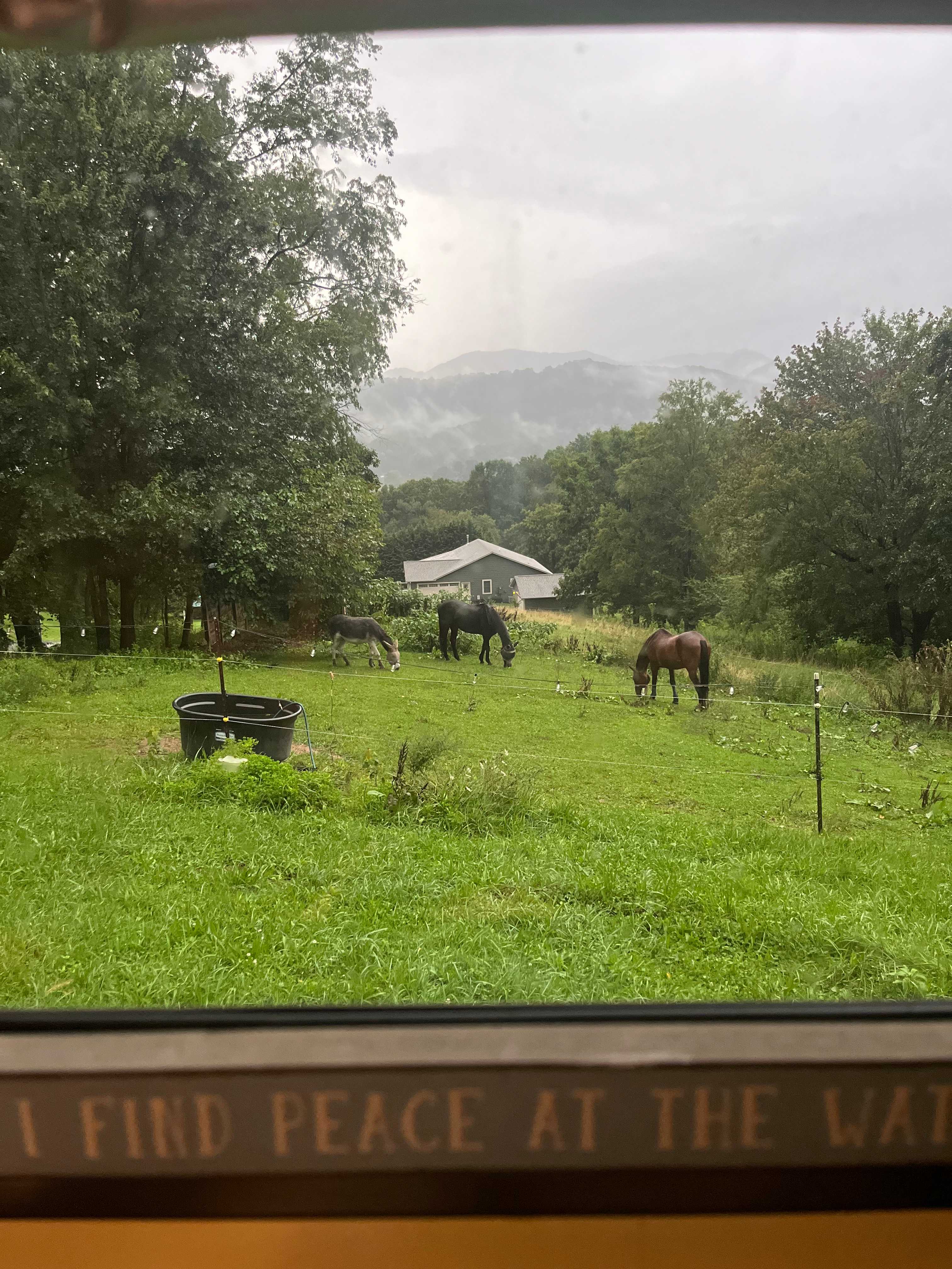 Red Rooster Farm: AVL Adjacent!