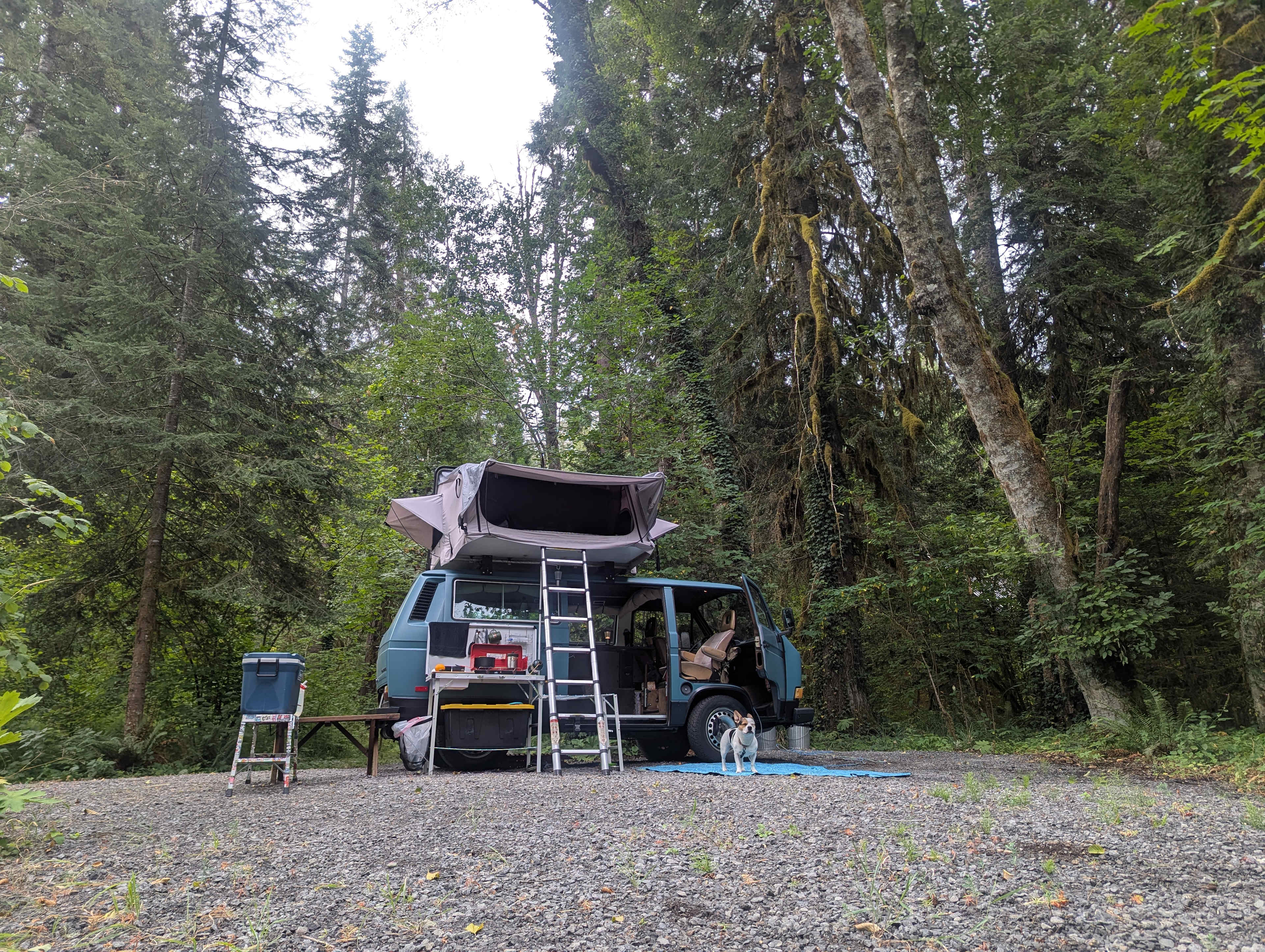 McKenzie River Spot in Rainbow