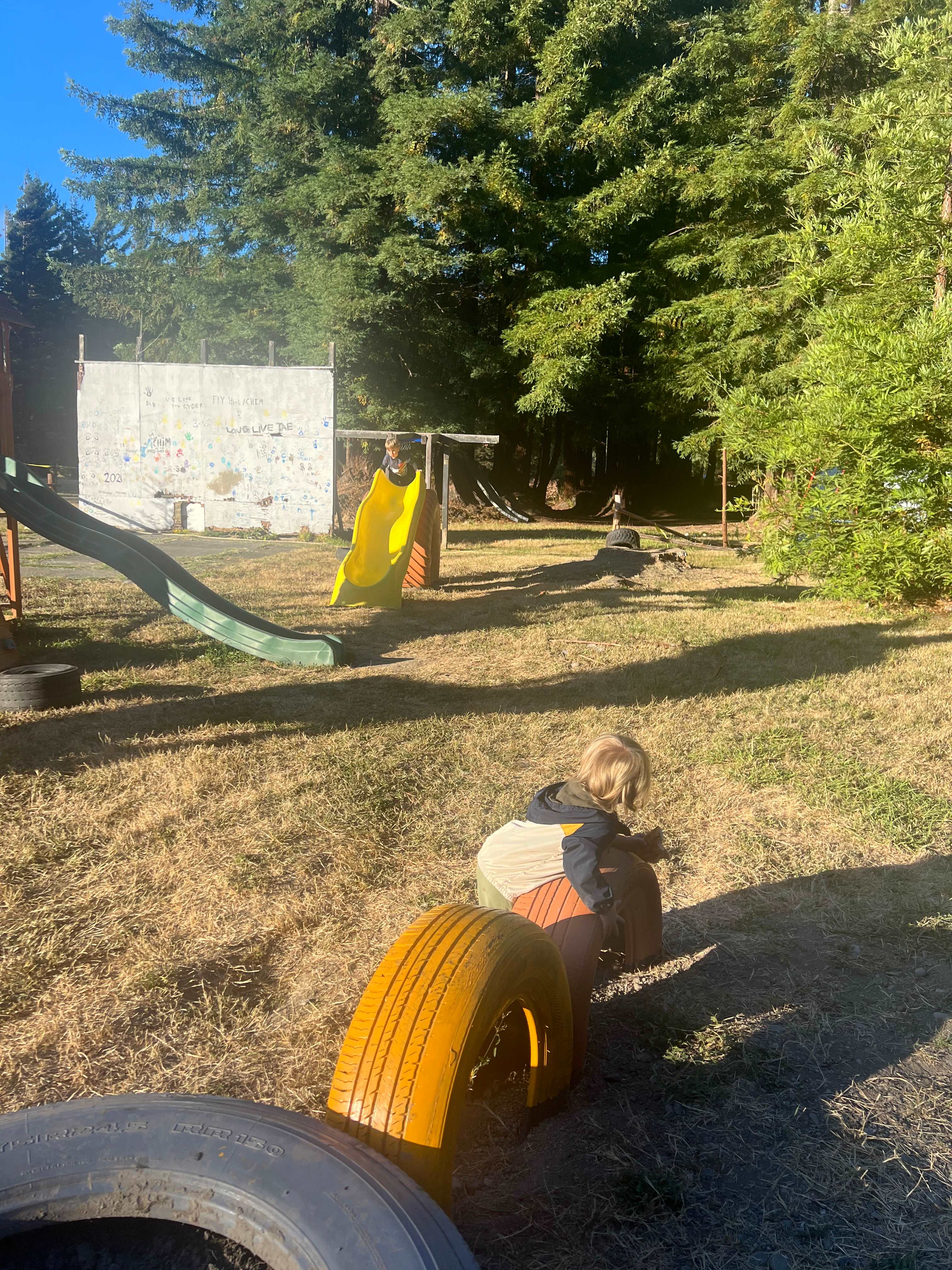 Redwood Family Camp