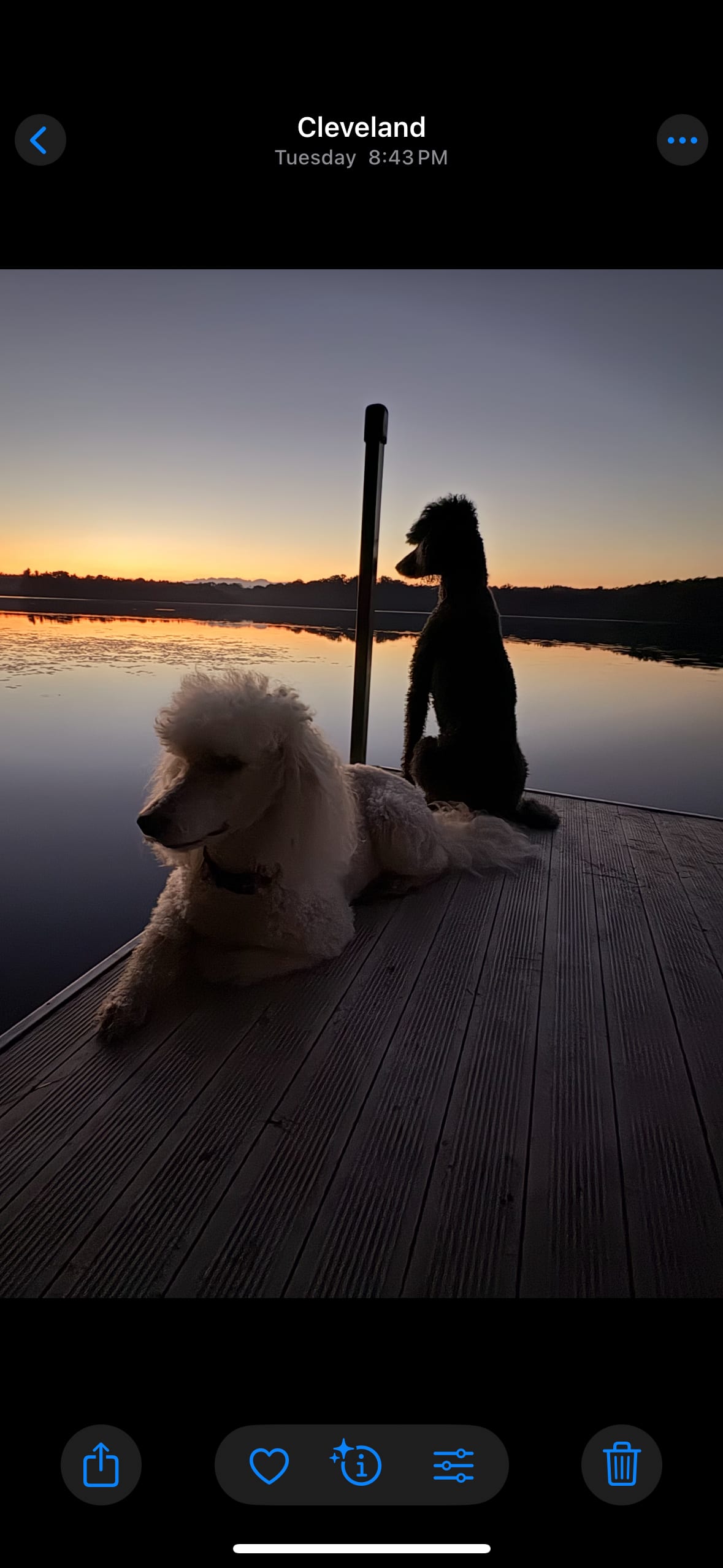 Trapper Arts Camping Retreat